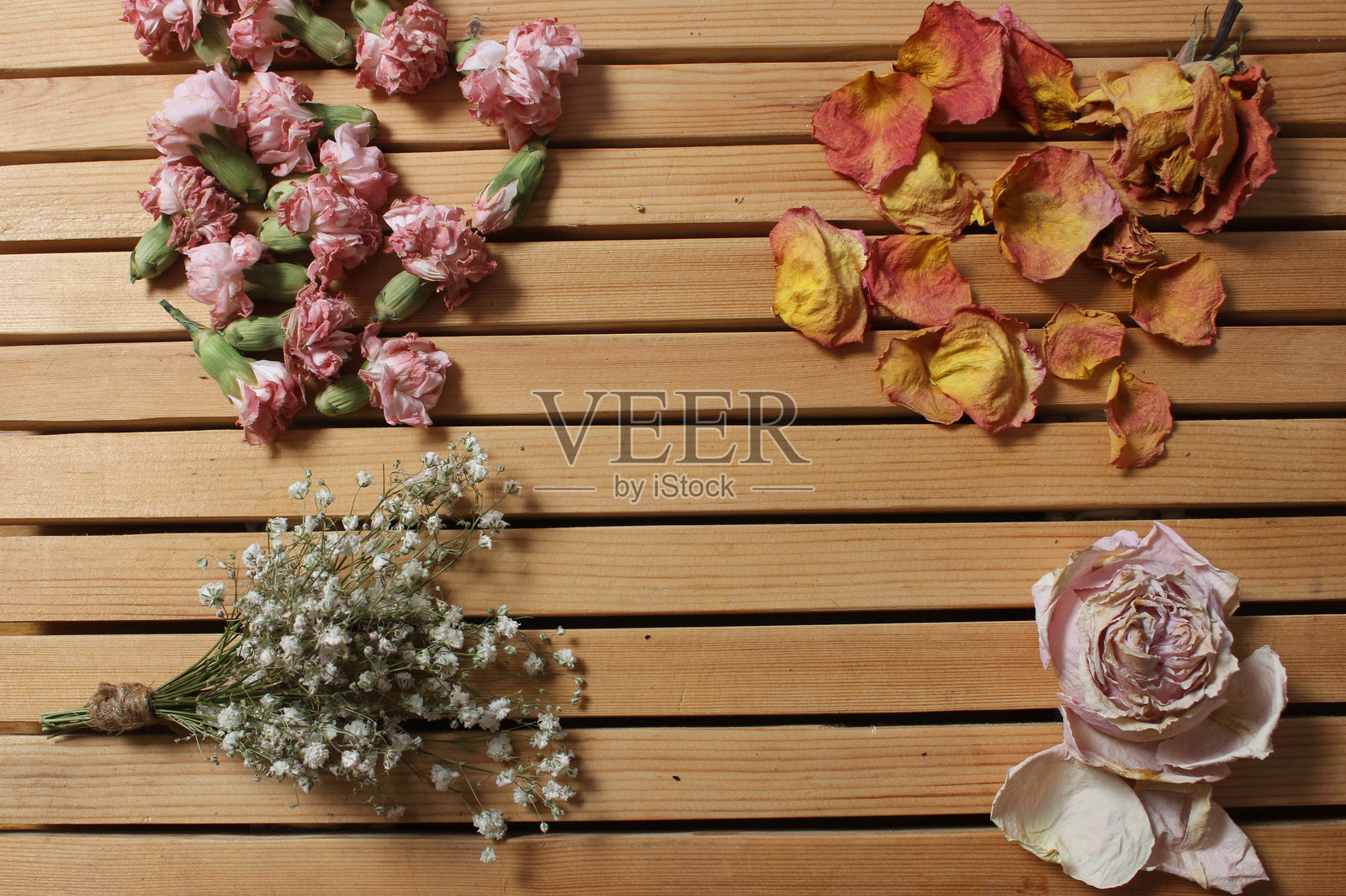 老花在木桌上晾晒。百日草、玫瑰和康乃馨照片摄影图片