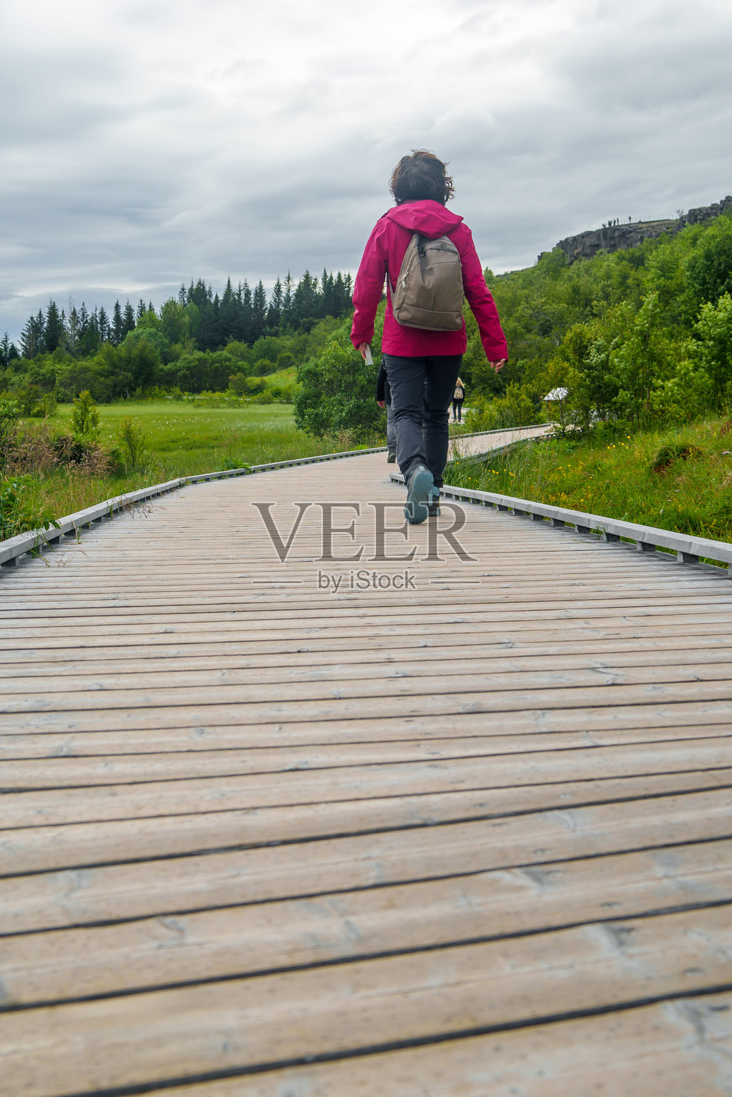 冰岛pingvellir国家公园，一名女子走在一条木制小路上照片摄影图片