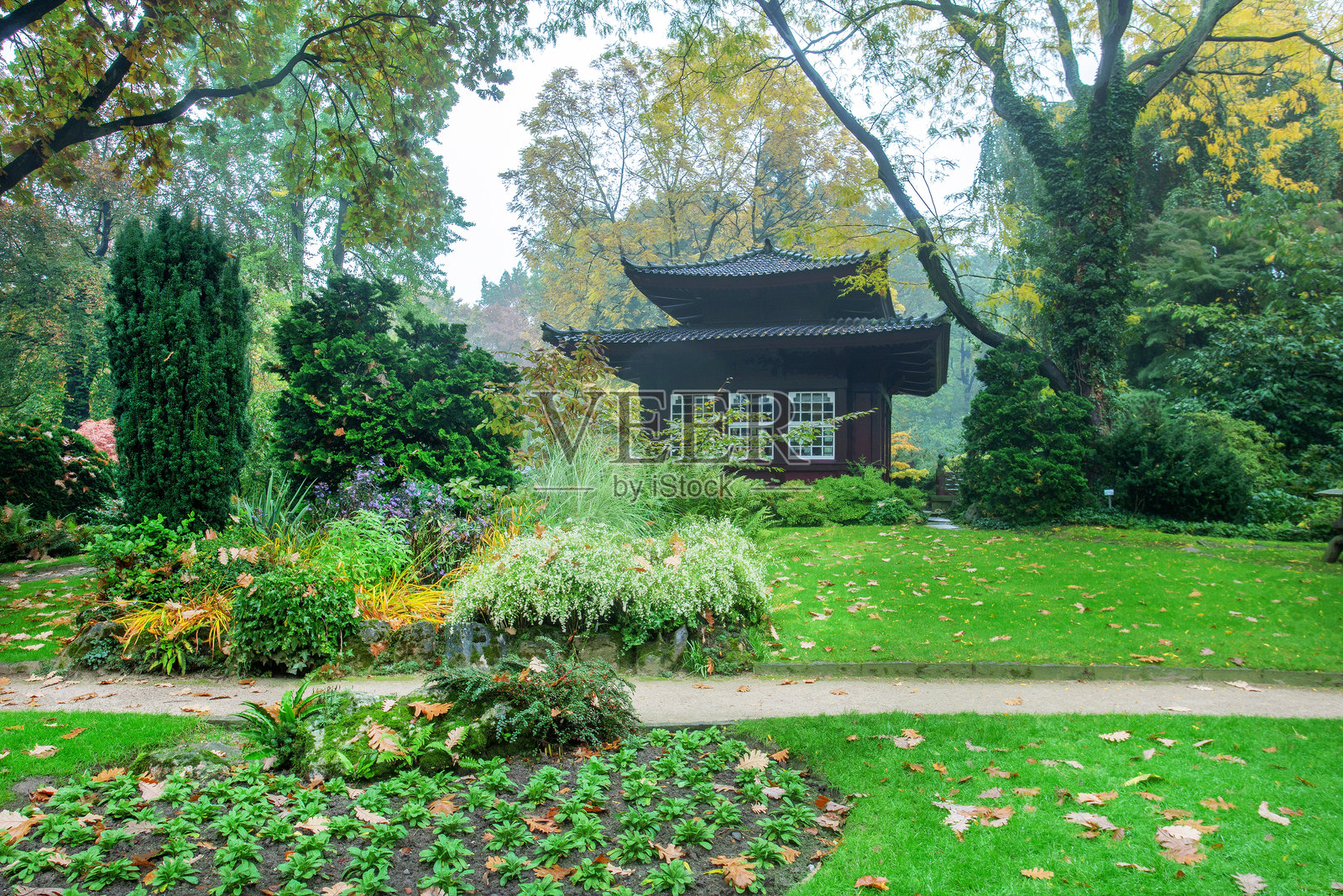 勒沃库森日本花园杜鹃花盛开照片摄影图片