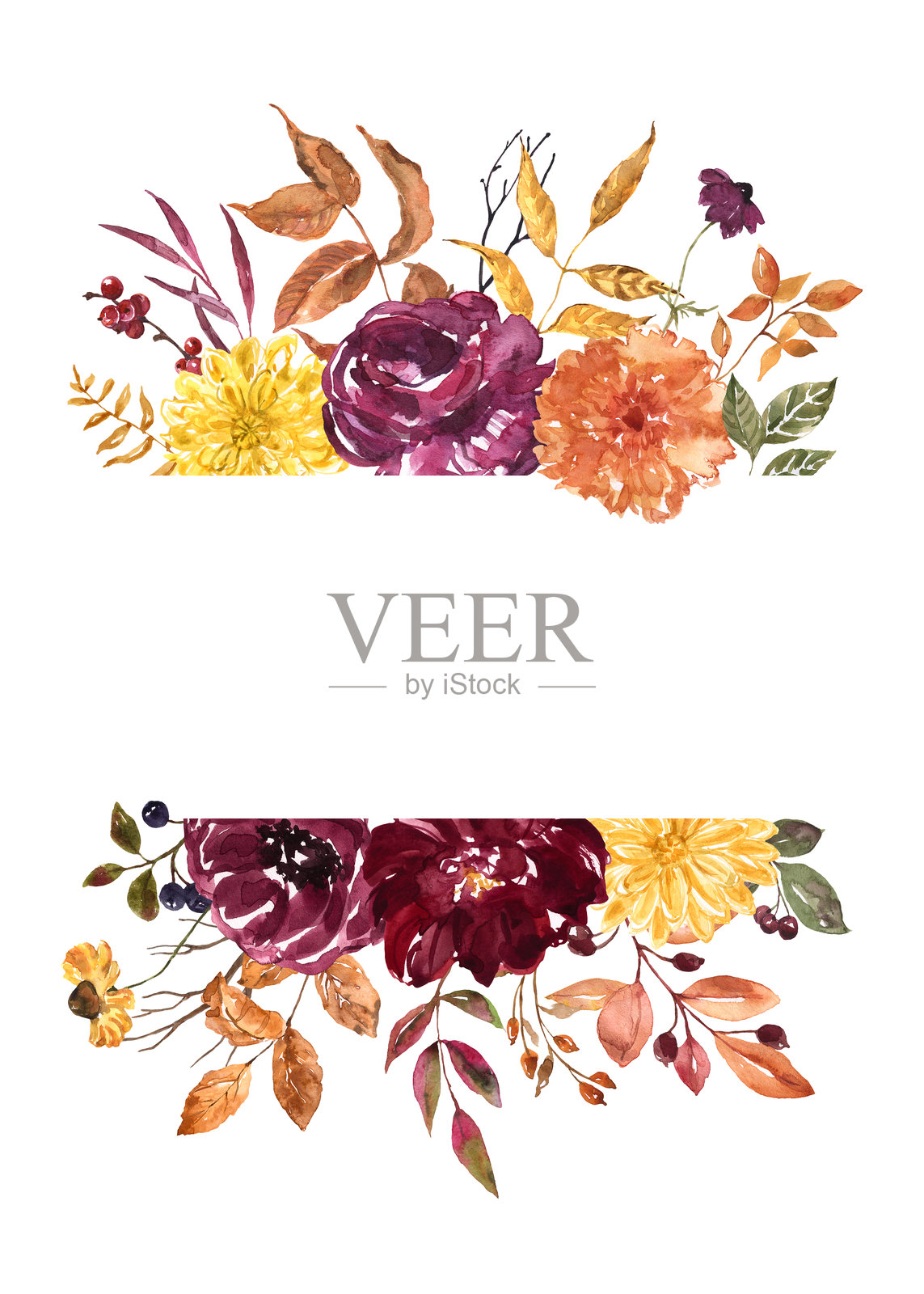 水彩花卉框架，植物邀请模板与红色，酒红色，黄色和橙色的花，秋天的叶子。插画图片素材