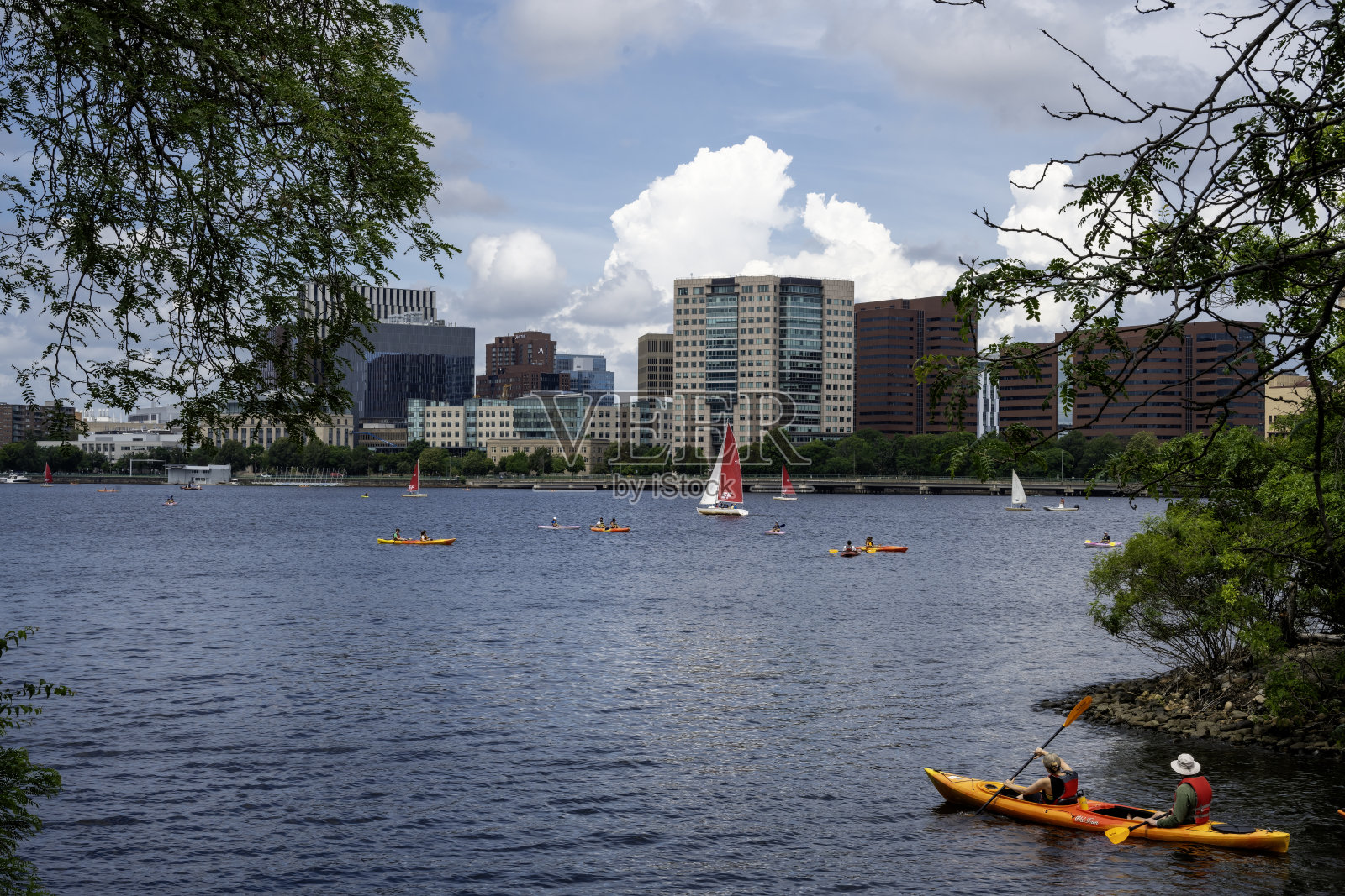 马萨诸塞州波士顿市波士顿公共花园的美丽景色。照片摄影图片