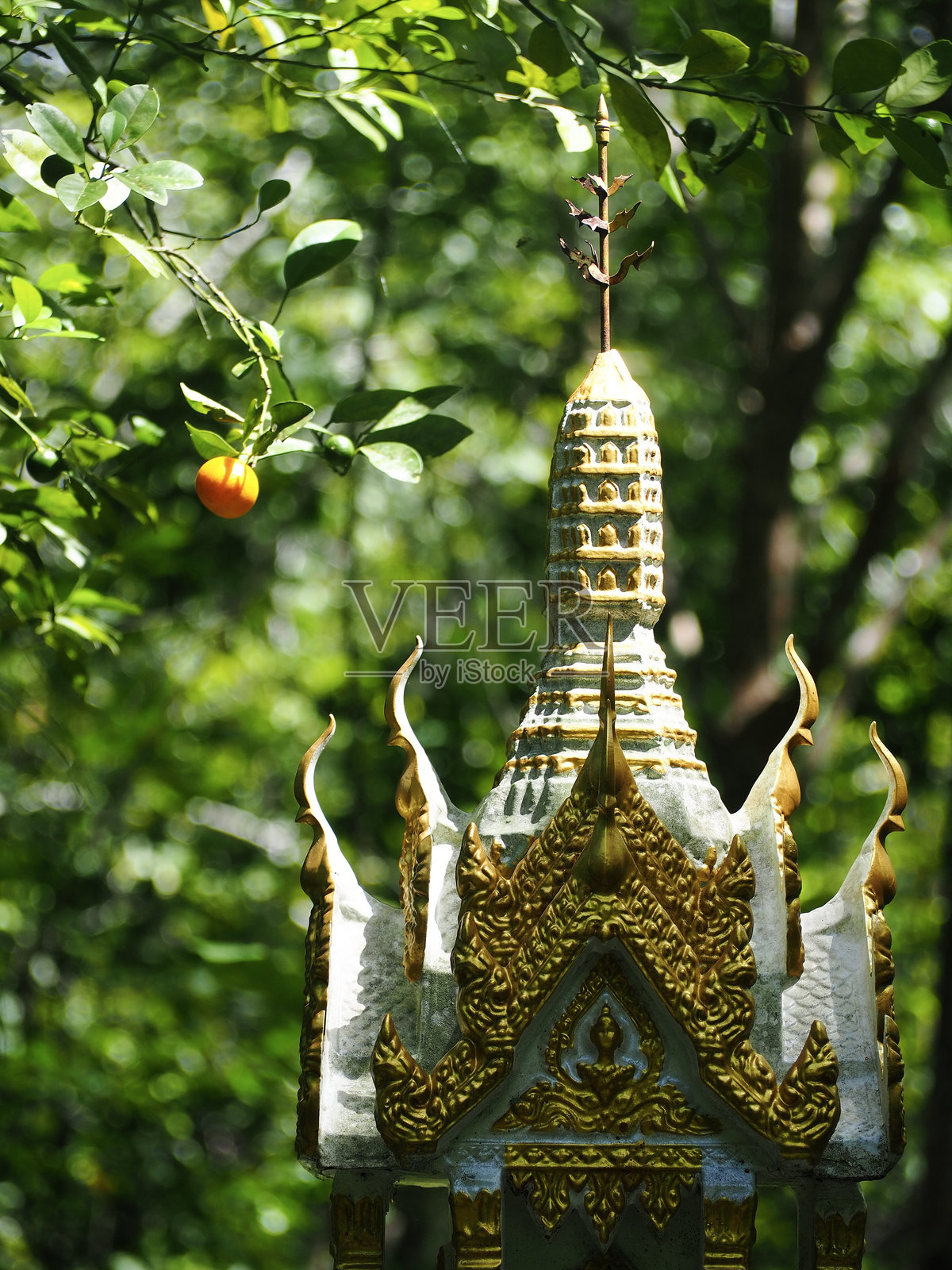 橙汁和酒屋照片摄影图片