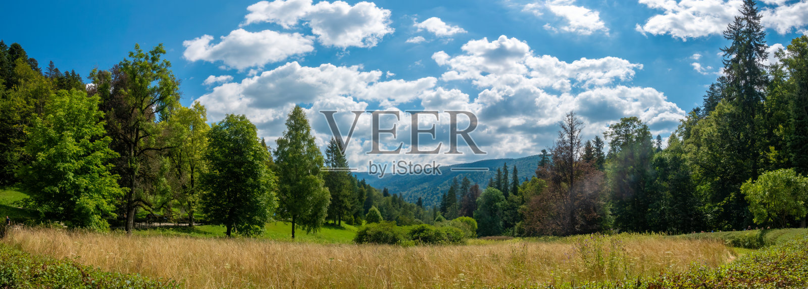 特兰西瓦尼亚,罗马尼亚照片摄影图片