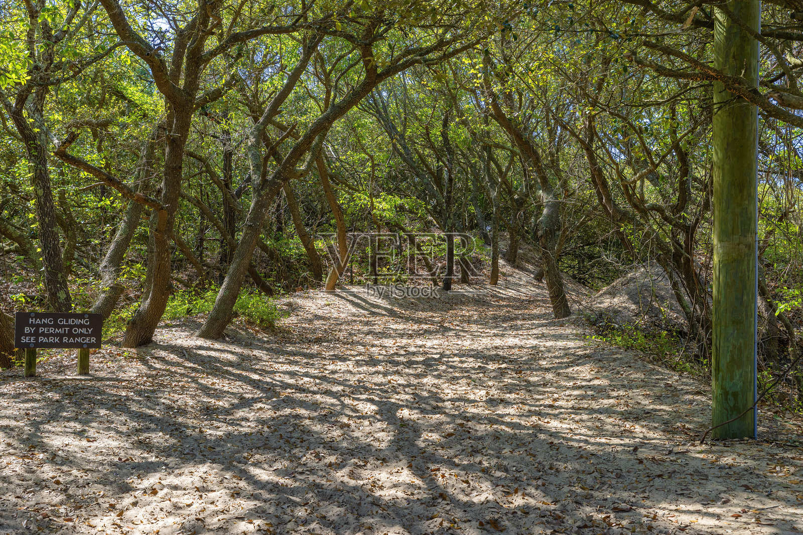 美国北卡罗来纳州外滩的Jockey's Ridge州立公园照片摄影图片