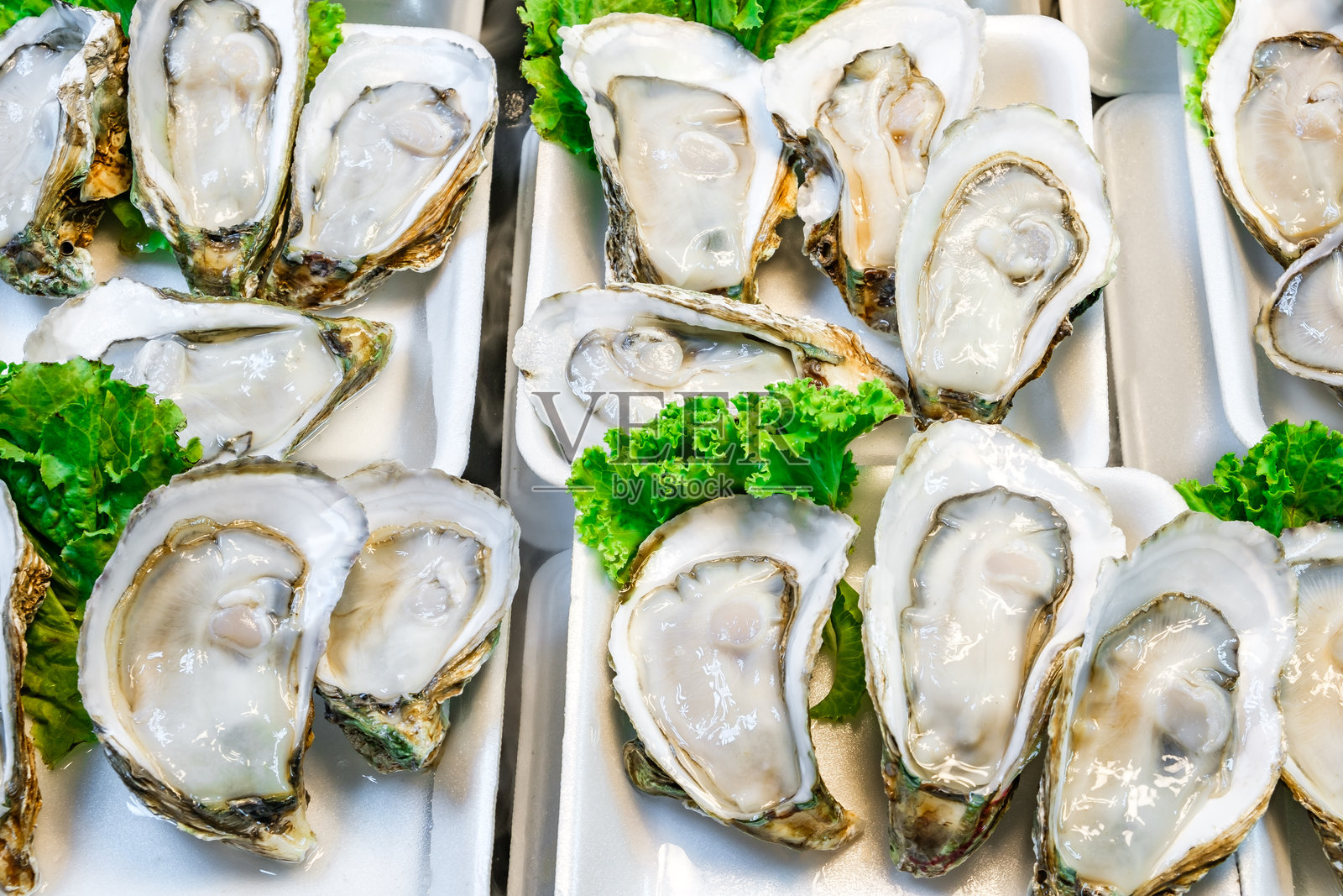 街市上的新鲜生蚝照片摄影图片