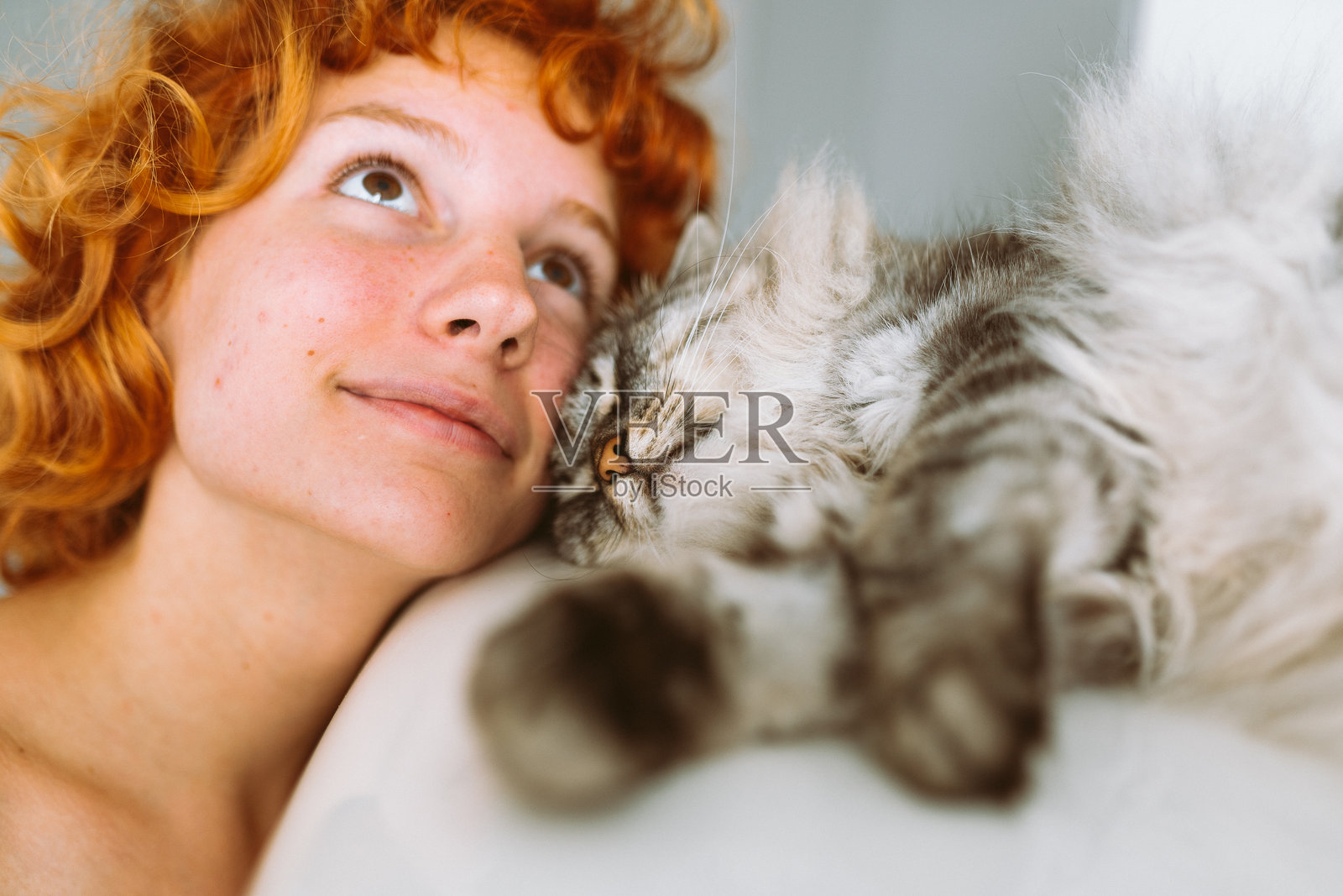 肖像红发少女与灰色毛茸茸的猫照片摄影图片