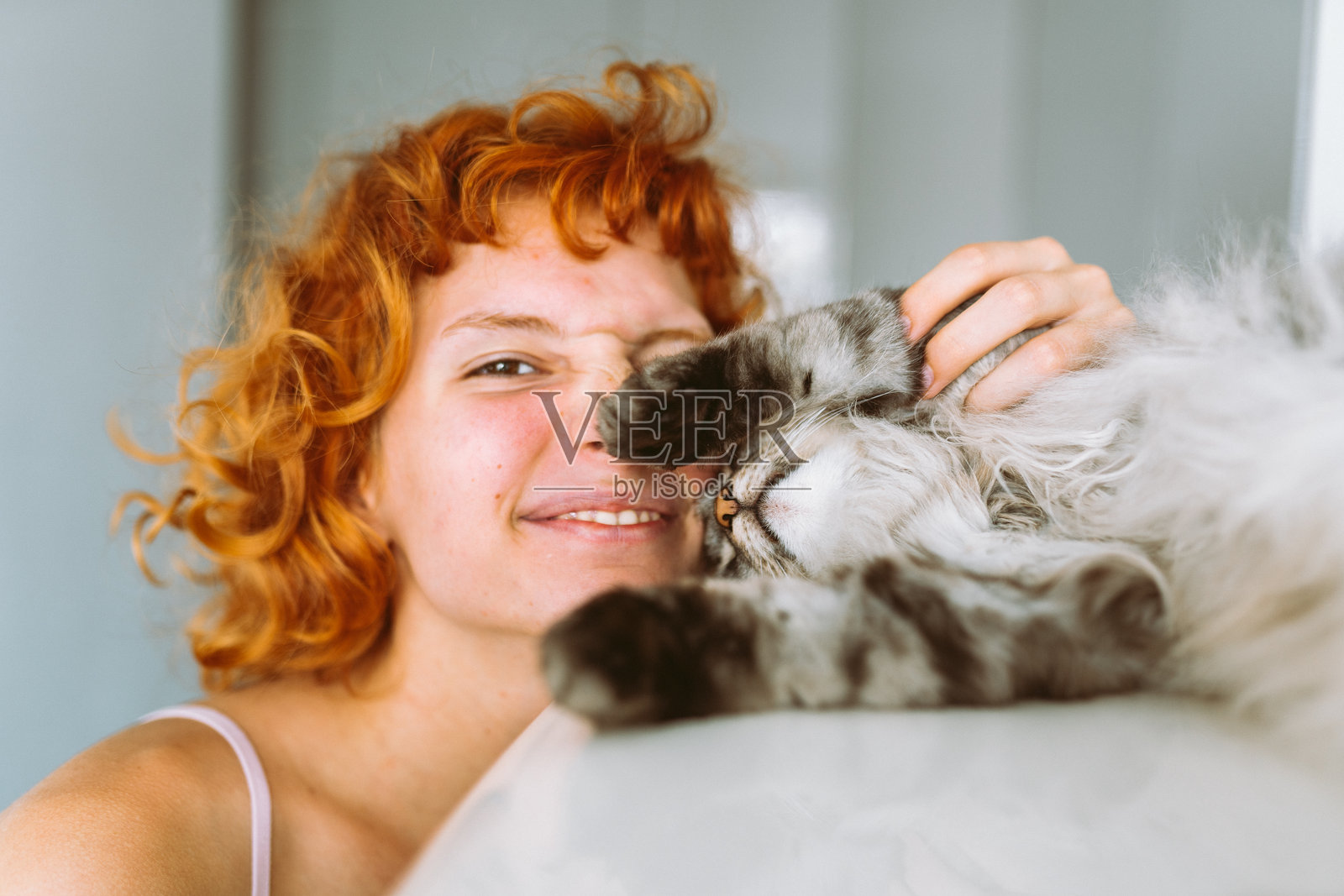 肖像红发少女与灰色毛茸茸的猫照片摄影图片