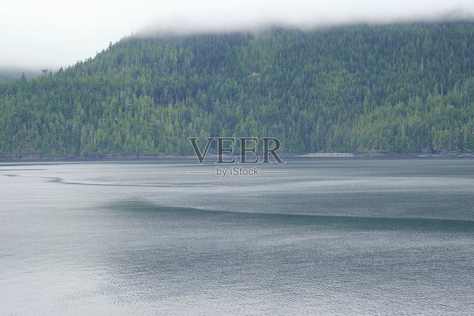 雾中的孤岛，自然之美，水的边缘。雾中的孤岛，自然之美，水的边缘照片摄影图片