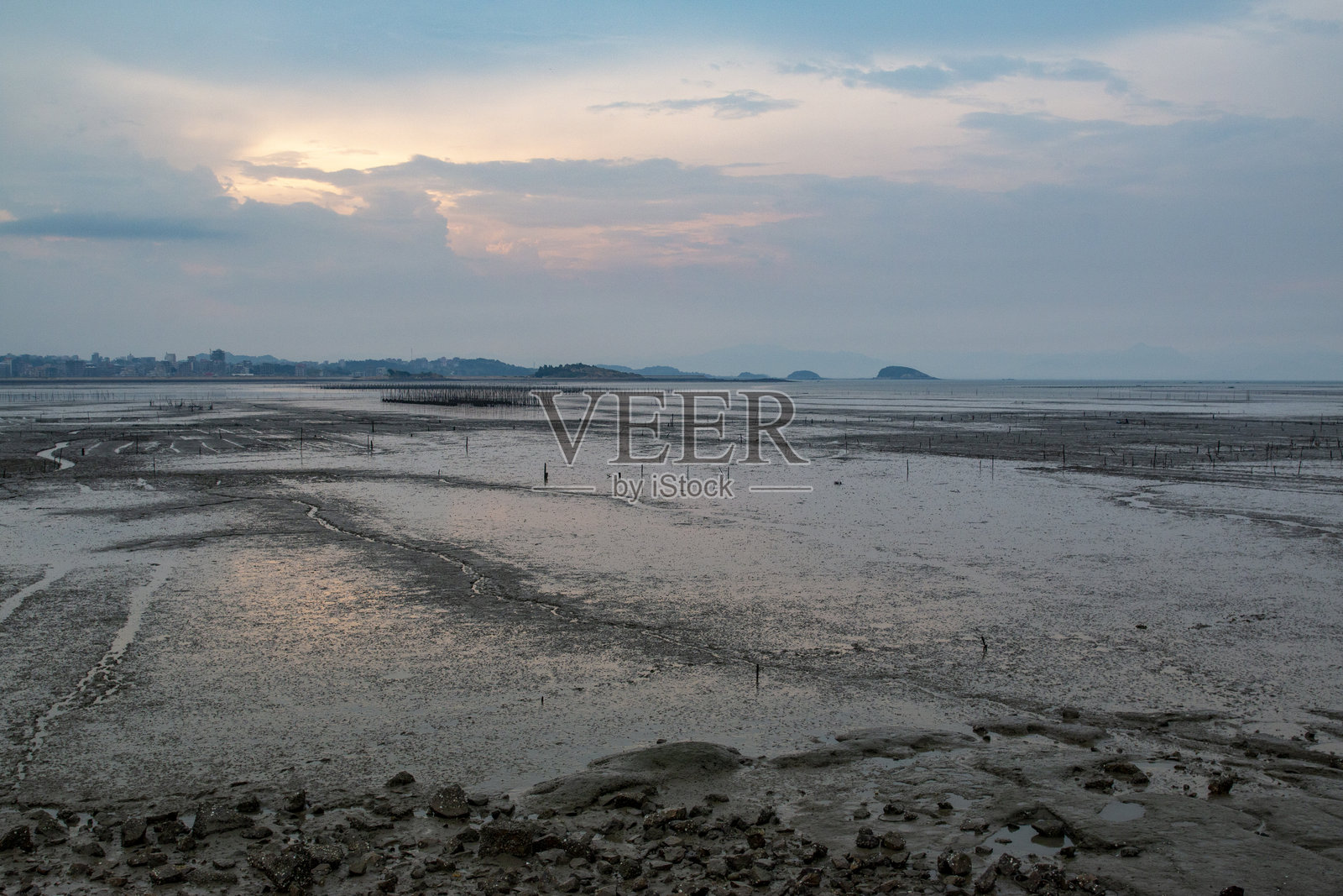 海边的田野照片摄影图片