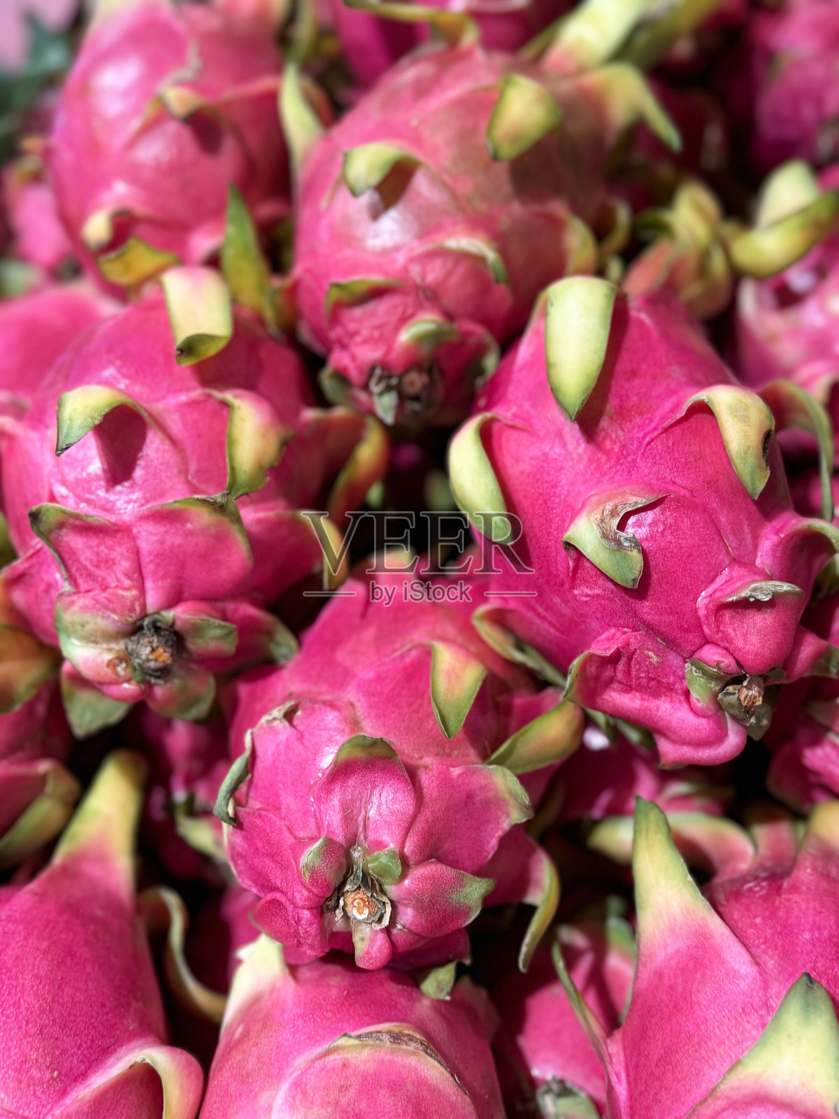 超市货架上热带水果的全画幅图像，超市当地生鲜农产品过道上出售的整堆火龙果(Selenicereus undatus)，重点放在前景上照片摄影图片