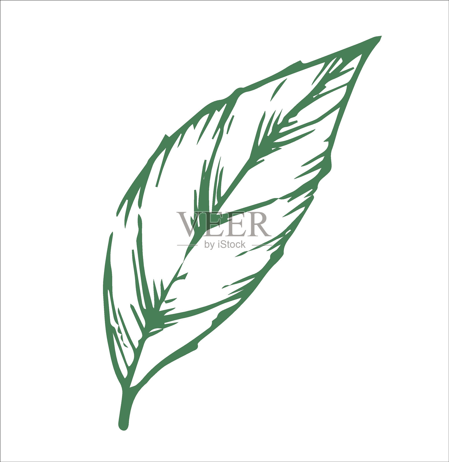 绿茶叶子。素描风格插图插画图片素材