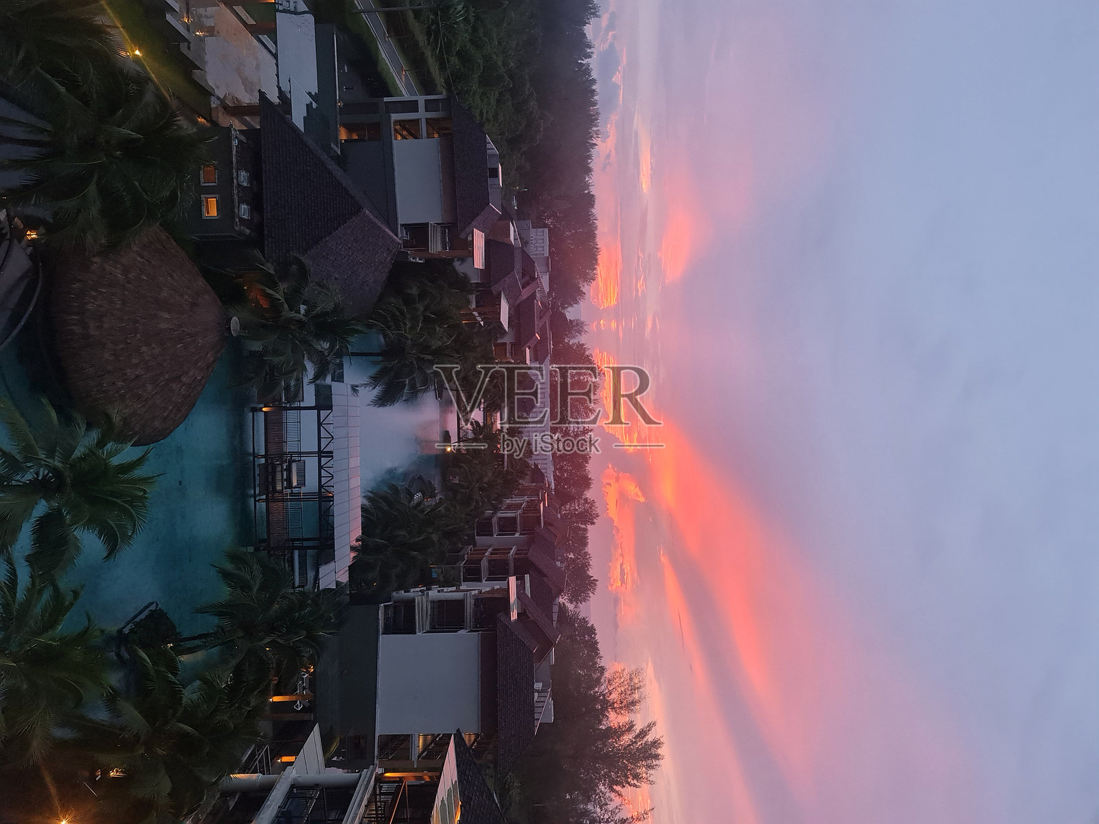 棕榈树的日落照片摄影图片