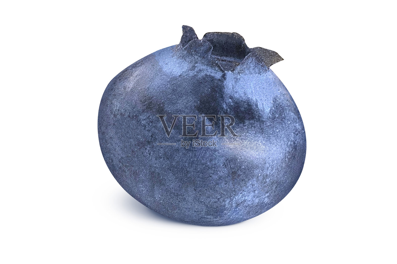 孤立的白色背景上的蓝莓。照片摄影图片