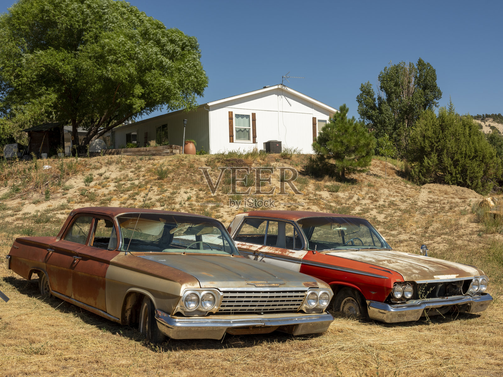 一对1963年的雪佛兰比斯凯恩照片摄影图片