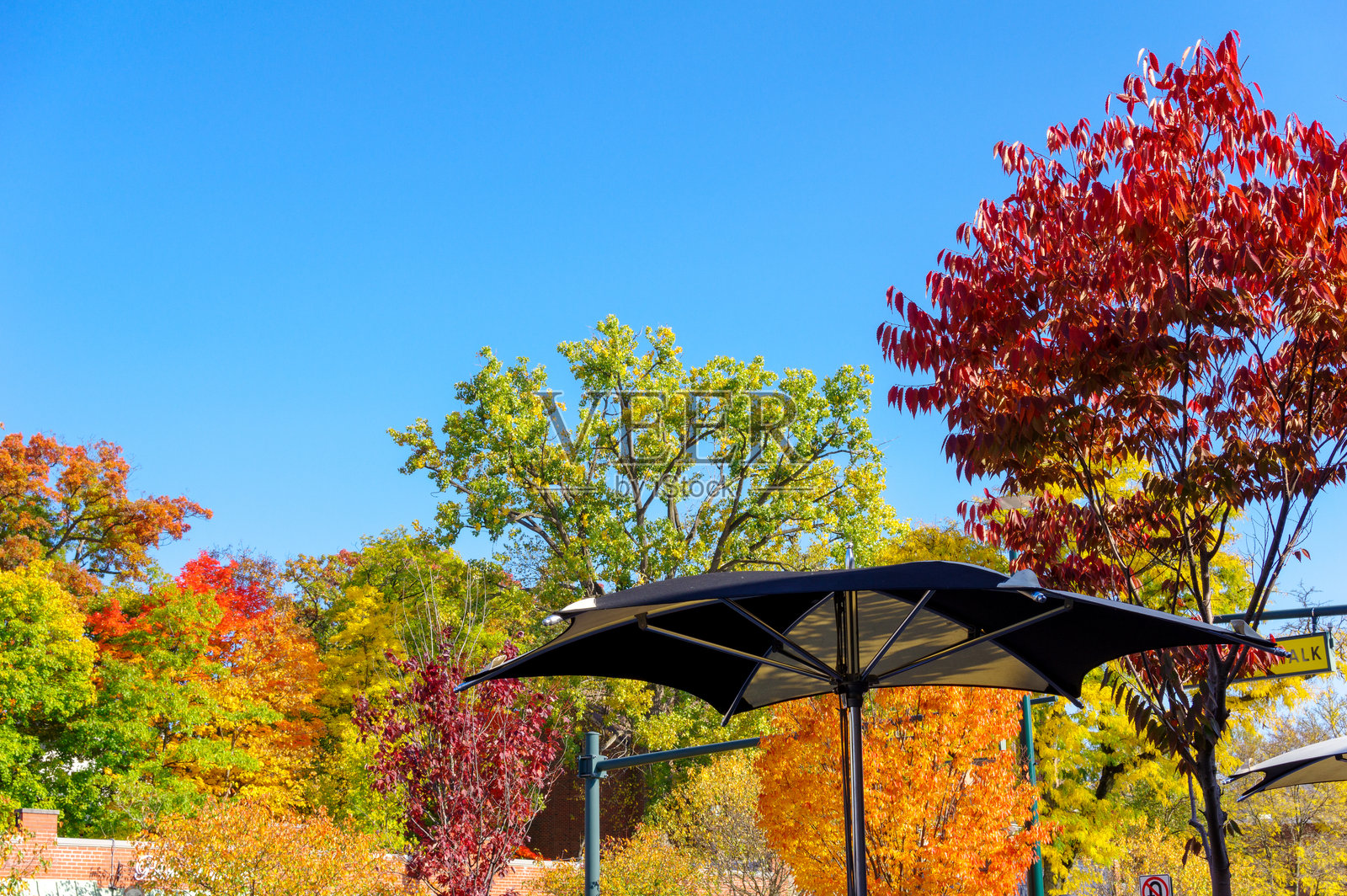 咖啡馆的雨伞和秋天的树叶。照片摄影图片