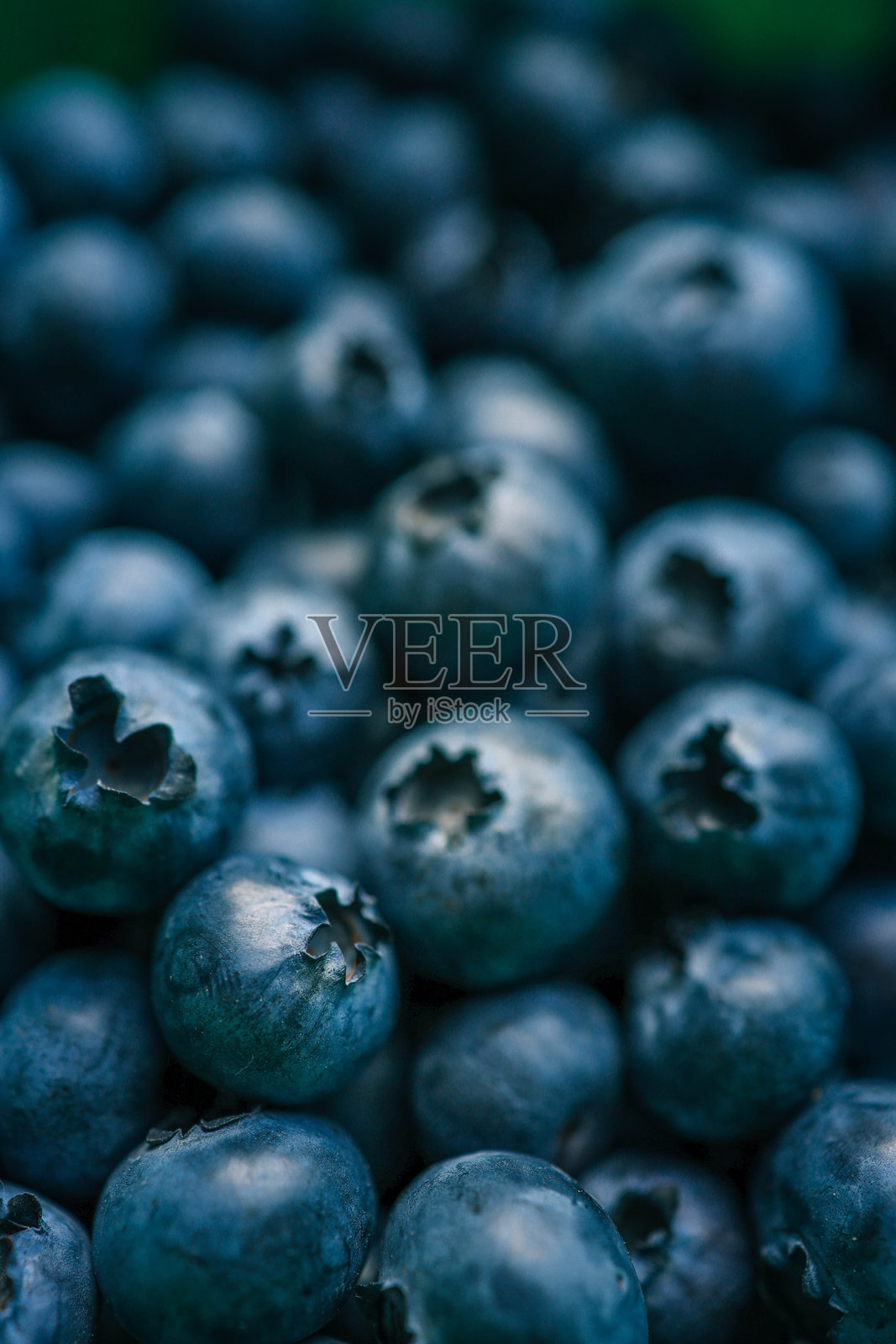 新鲜蓝莓的微距镜头。特写突出了浆果的纹理和细节，展示了它们的深蓝色和自然缺陷照片摄影图片