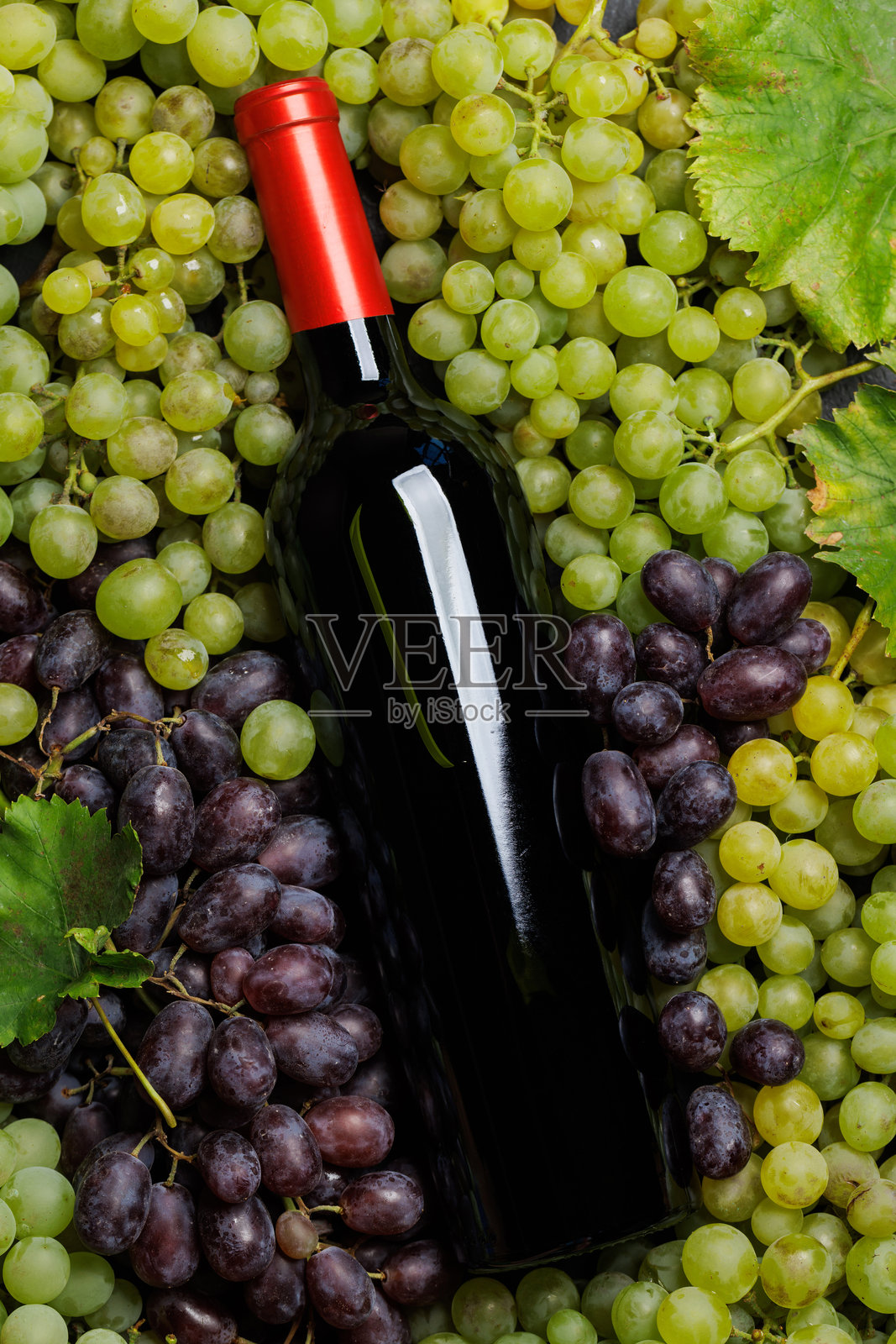 一瓶葡萄酒优雅地放在一畦新鲜葡萄上照片摄影图片