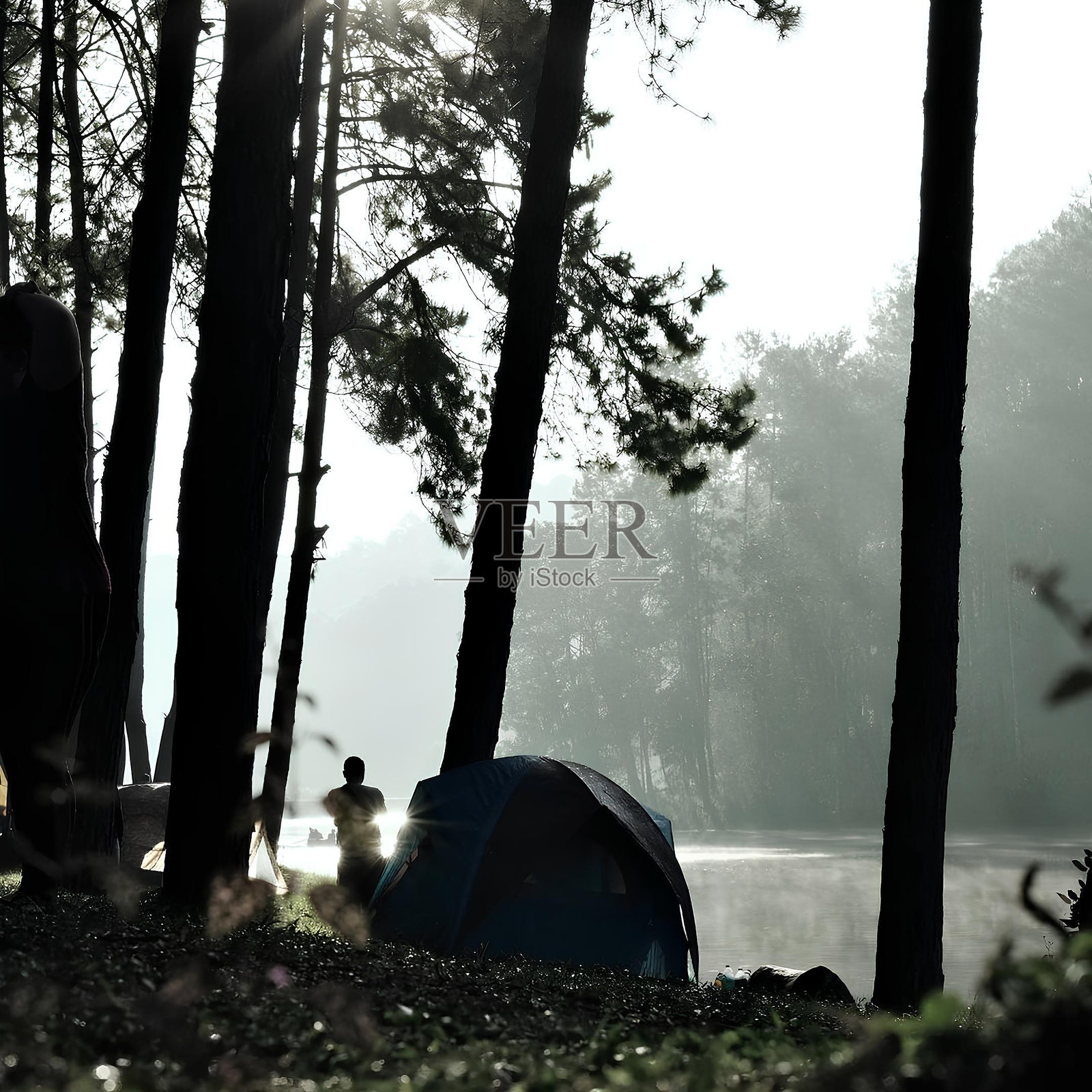 Takongkongkang照片摄影图片