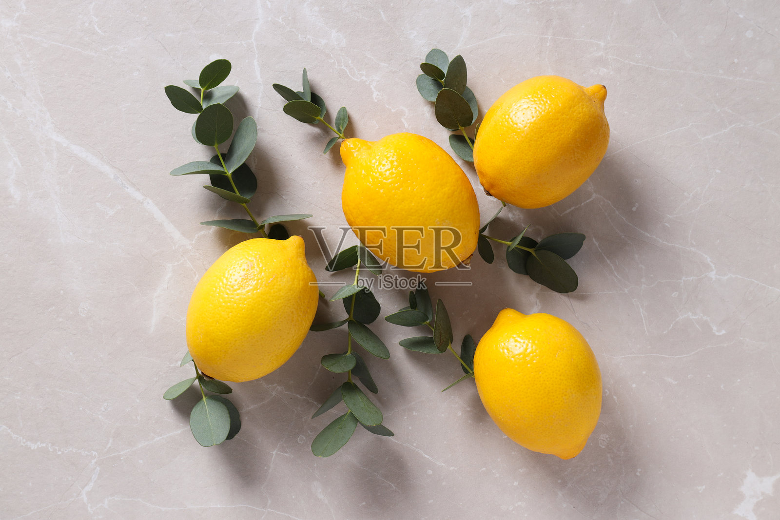 住棚节快乐，犹太节日的概念照片摄影图片