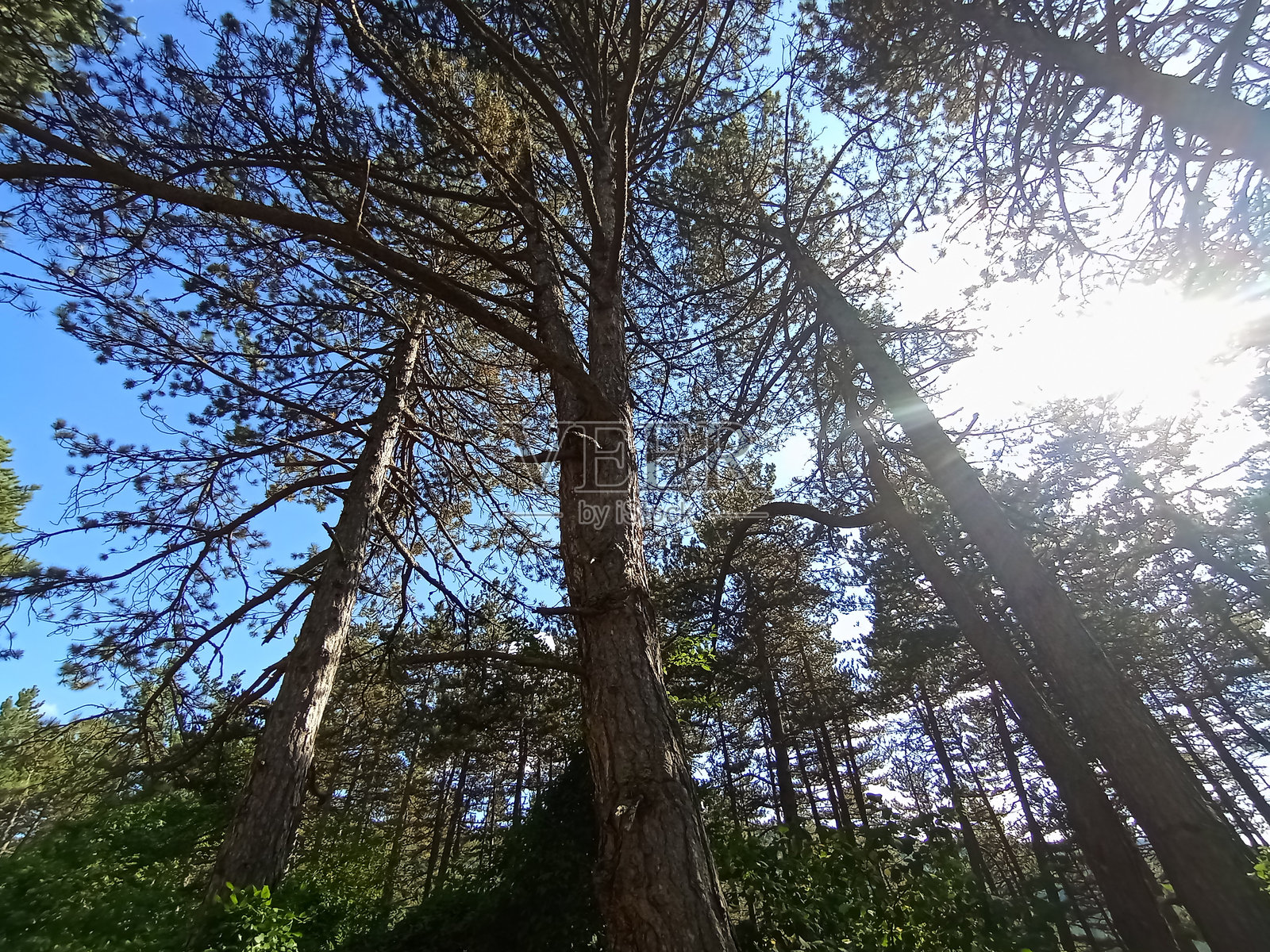特雷别维奇山的奇妙自然照片摄影图片