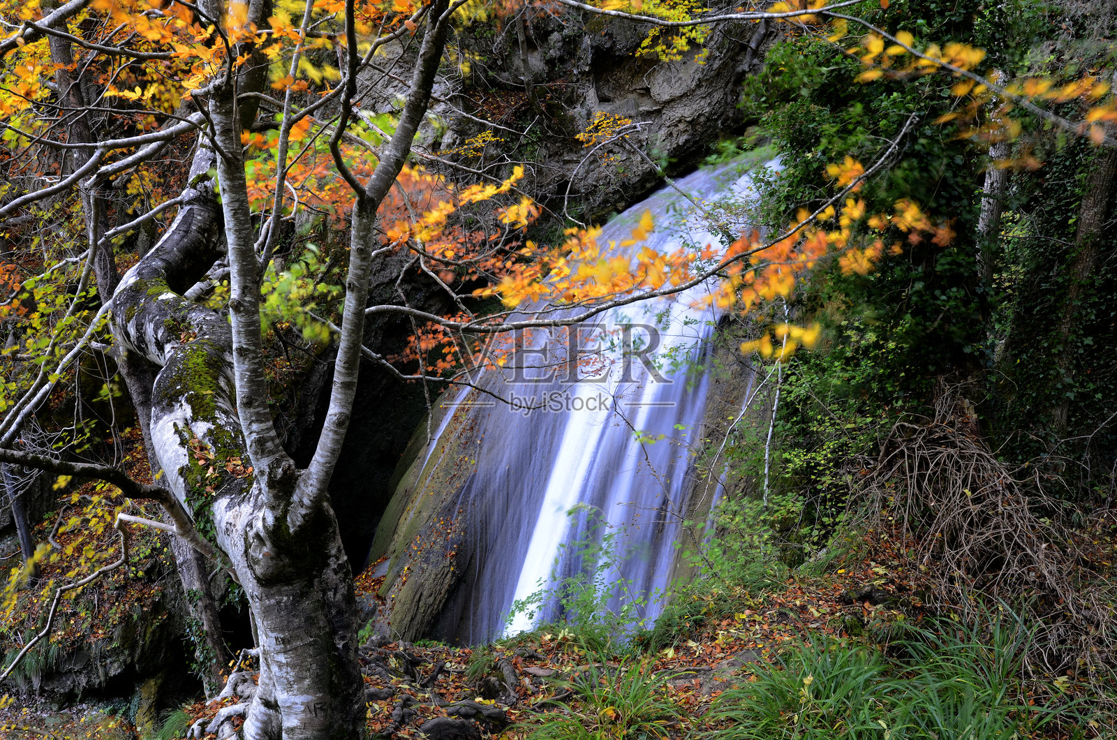 乌德拉河，自然保护区。纳瓦拉。西班牙照片摄影图片