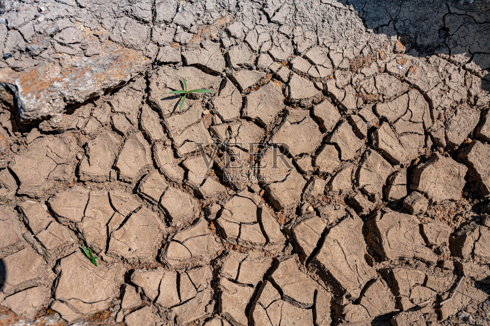 干涸的喀斯特湖泊Cerknica的底部照片摄影图片