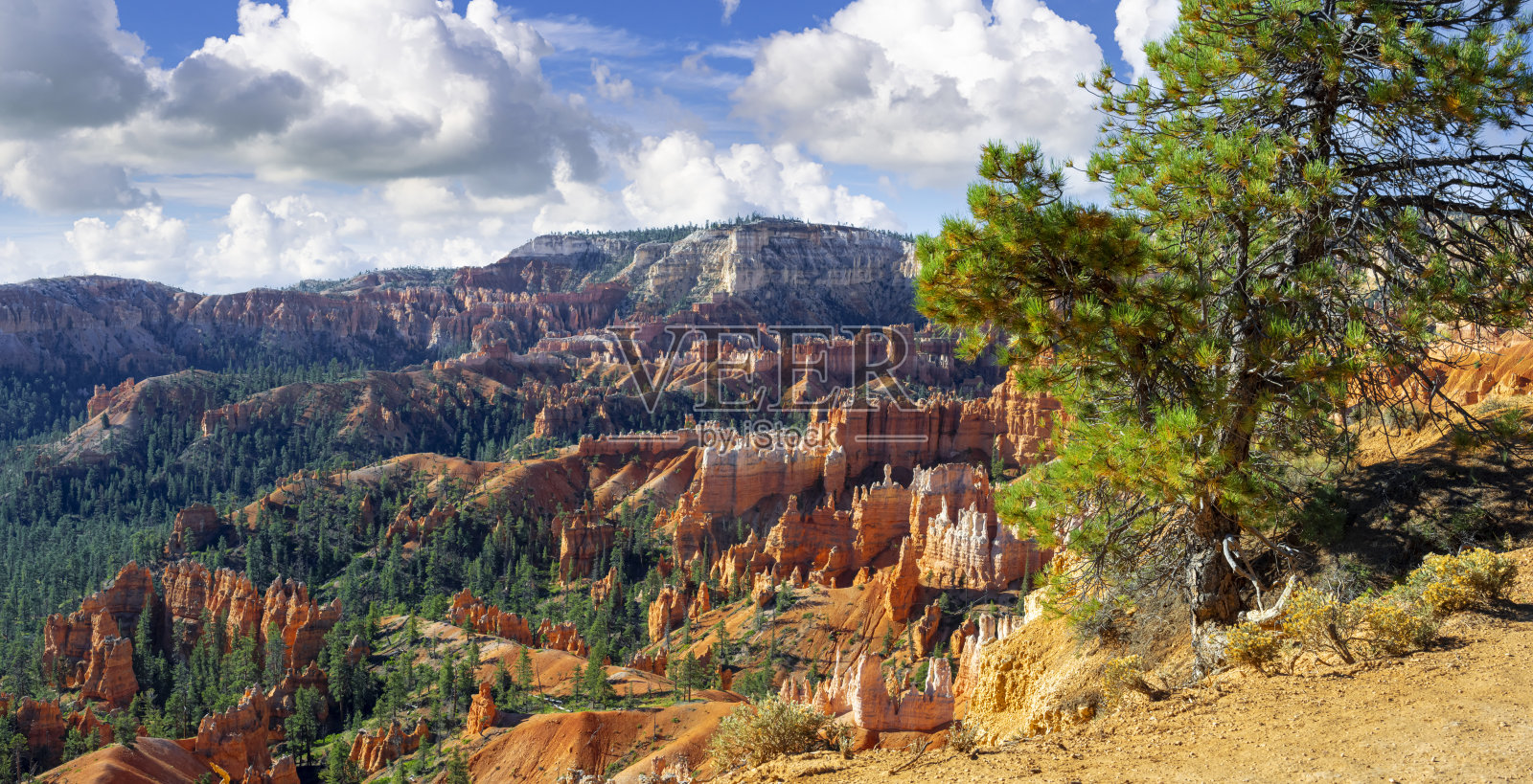 布莱斯峡谷国家公园照片摄影图片