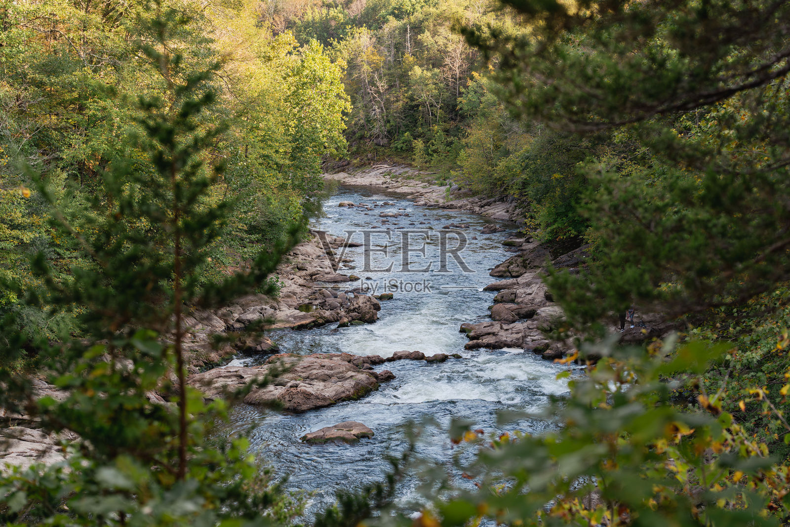 康涅狄格州的阿巴拉契亚小径照片摄影图片