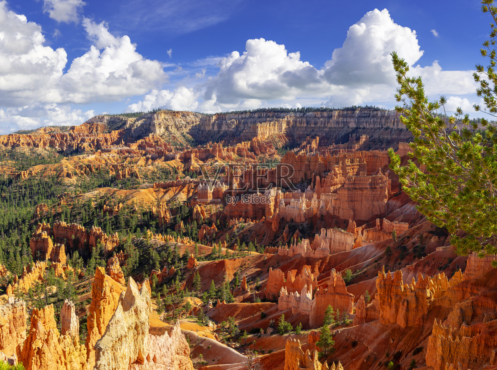 布莱斯峡谷国家公园照片摄影图片