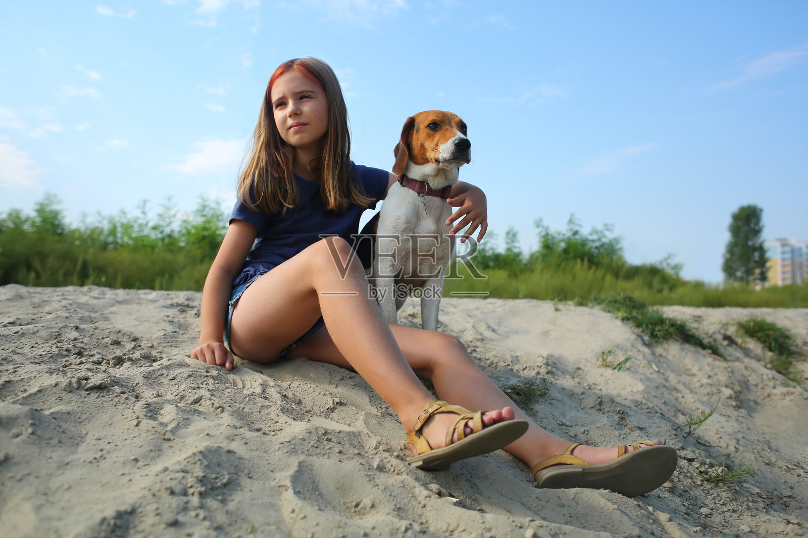 一个女孩和爱沙尼亚猎犬宠物在海滩上的夏日肖像照片摄影图片