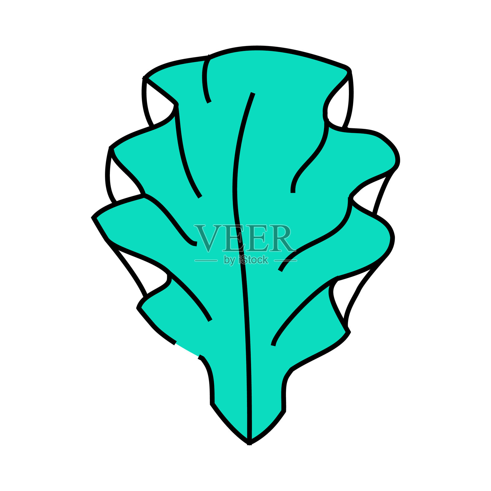 Ulva莴苣海藻图标彩色插图插画图片素材