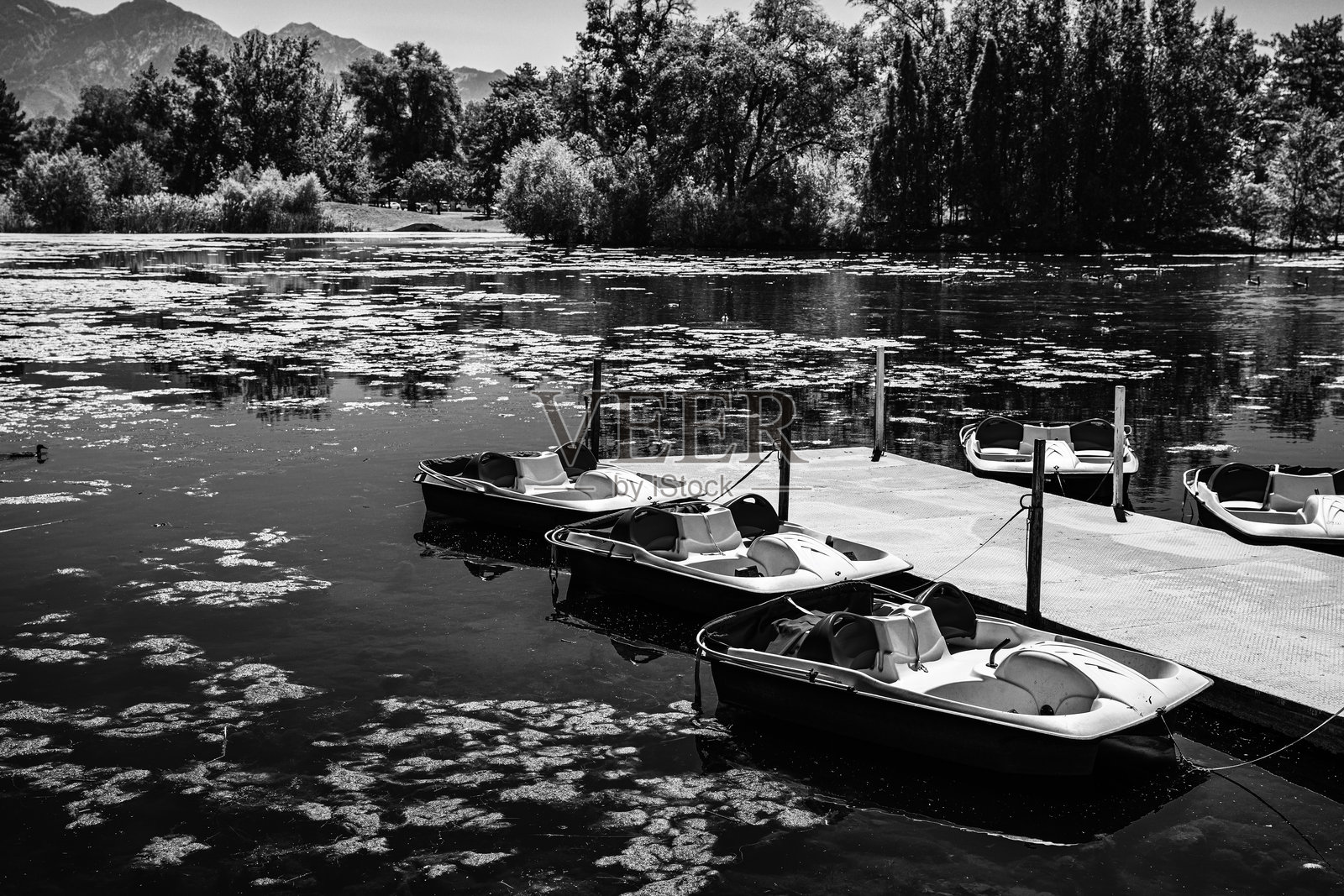 在盐湖城自由公园池塘的船，犹他州，黑白照片照片摄影图片