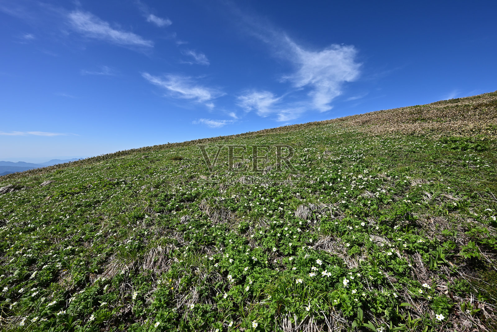 山。日本群马县的泰拉普尤和仙野仓照片摄影图片
