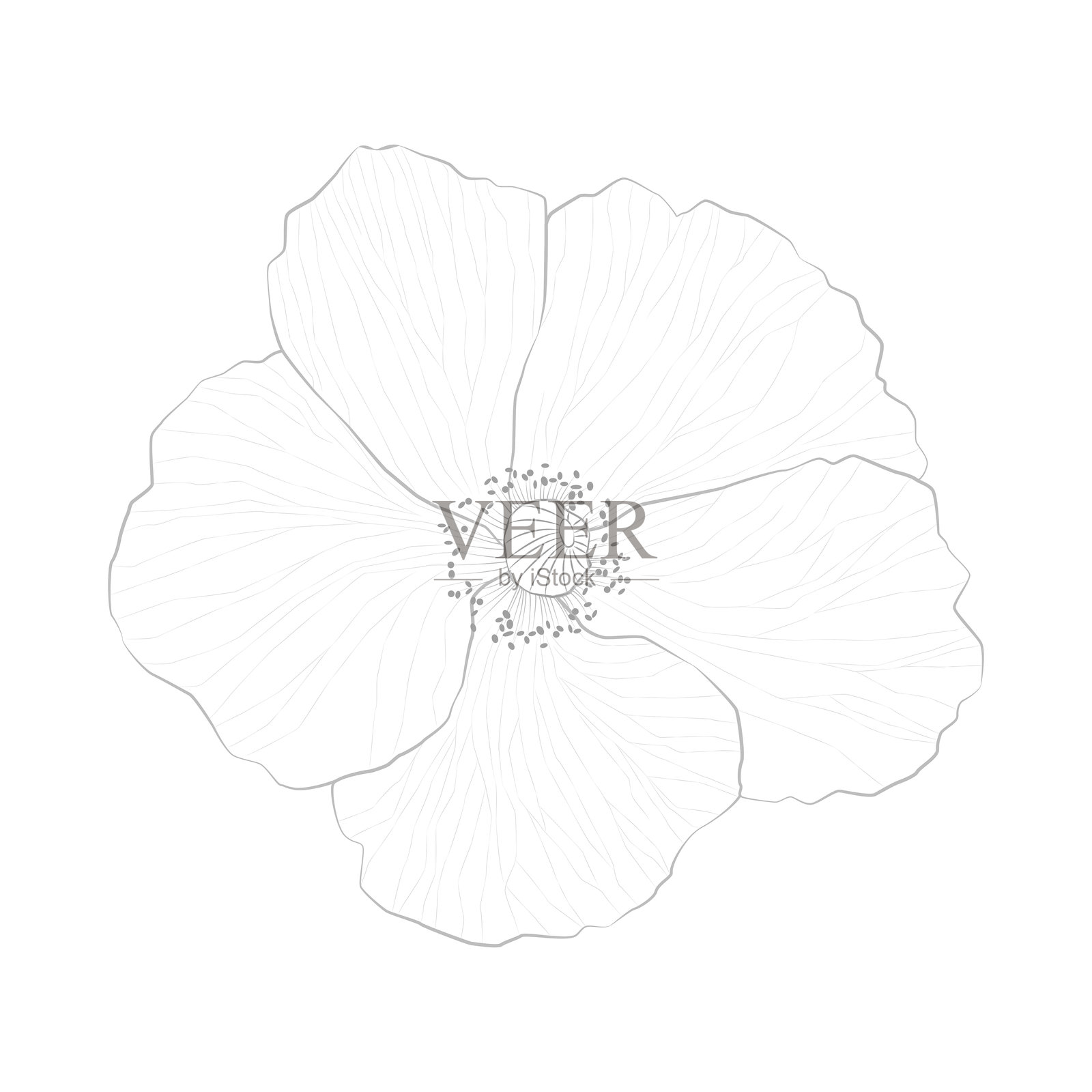 花插画图片素材