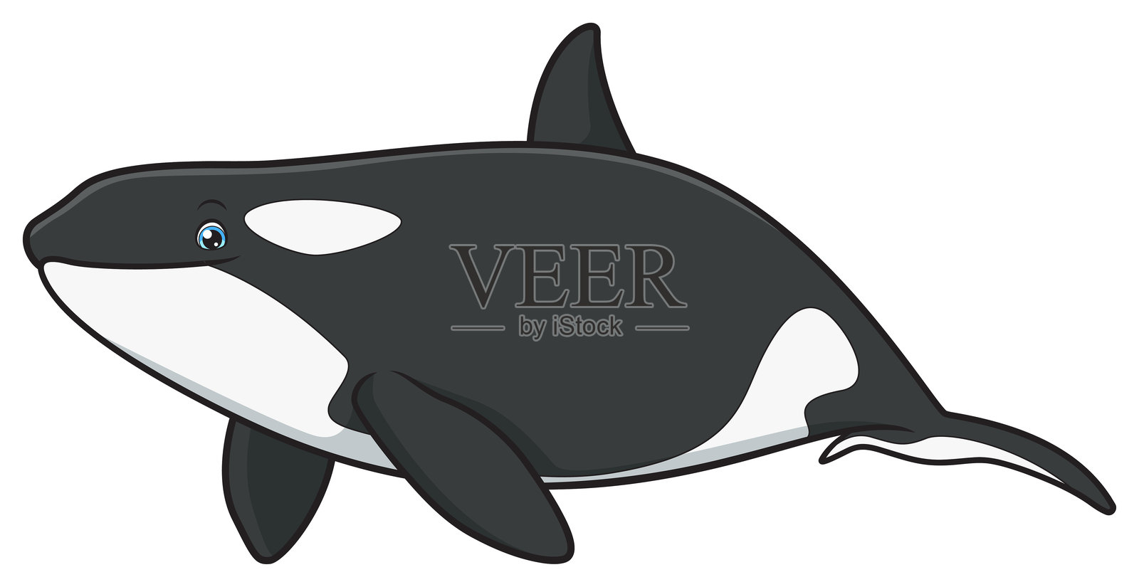 可爱的虎鲸卡通插图插画图片素材