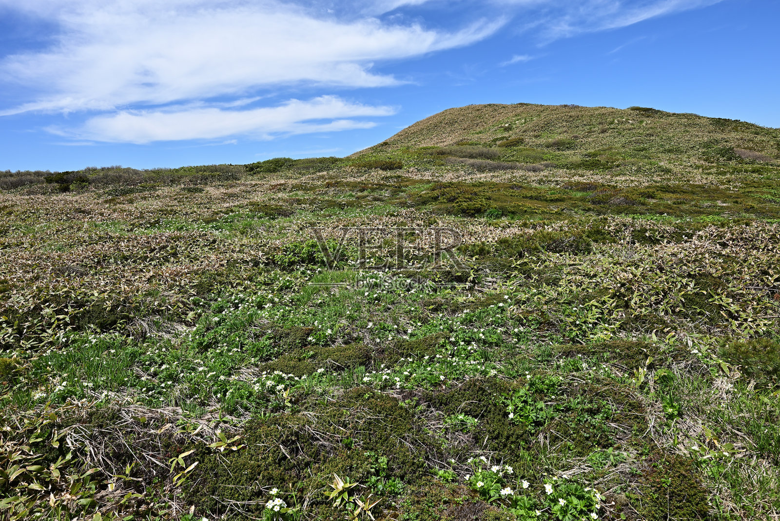 山。日本群马县的泰拉普尤和仙野仓照片摄影图片