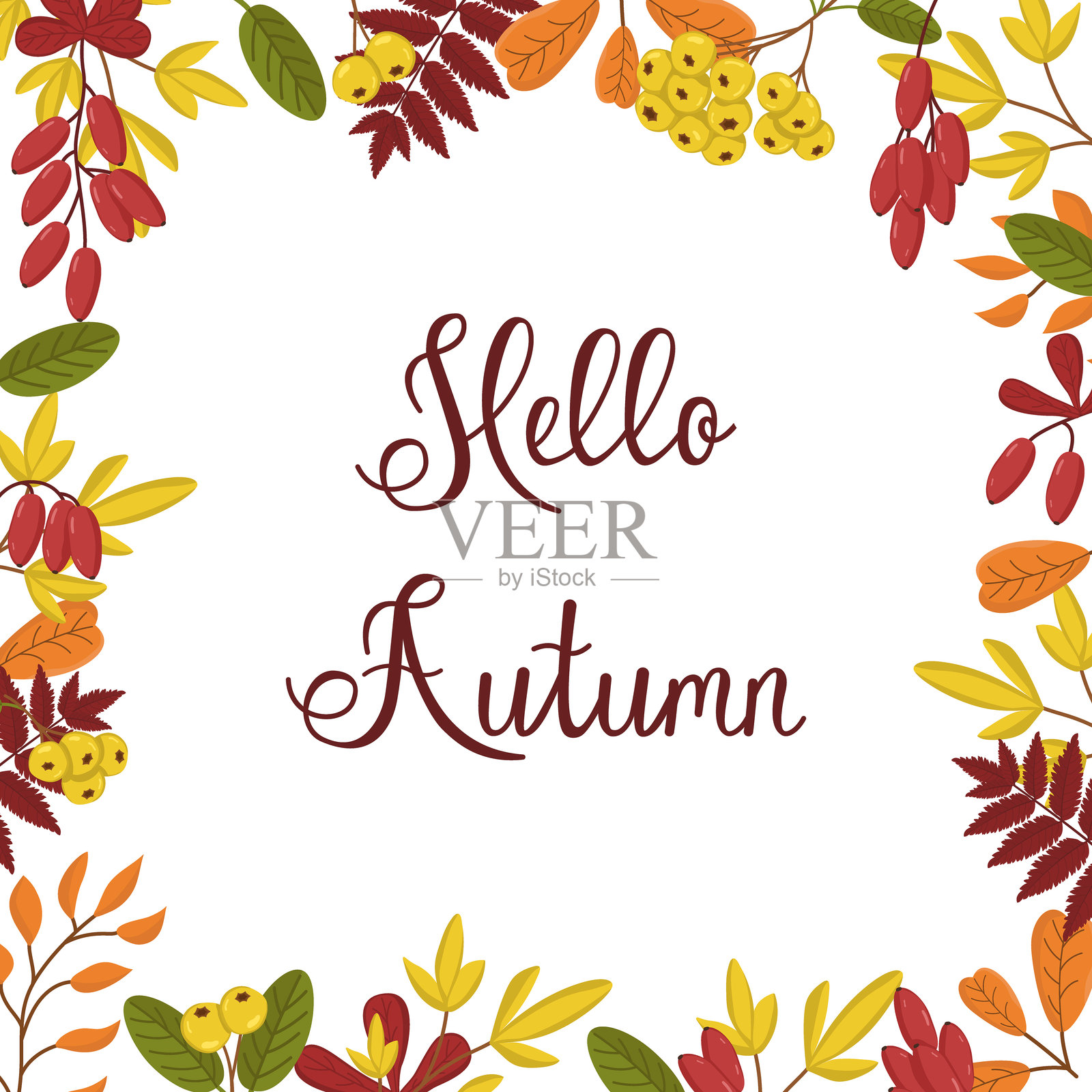 向量框架的叶子和浆果的野莓和火棘。植物插图贺卡和横幅。秋天的背景文字。插画图片素材