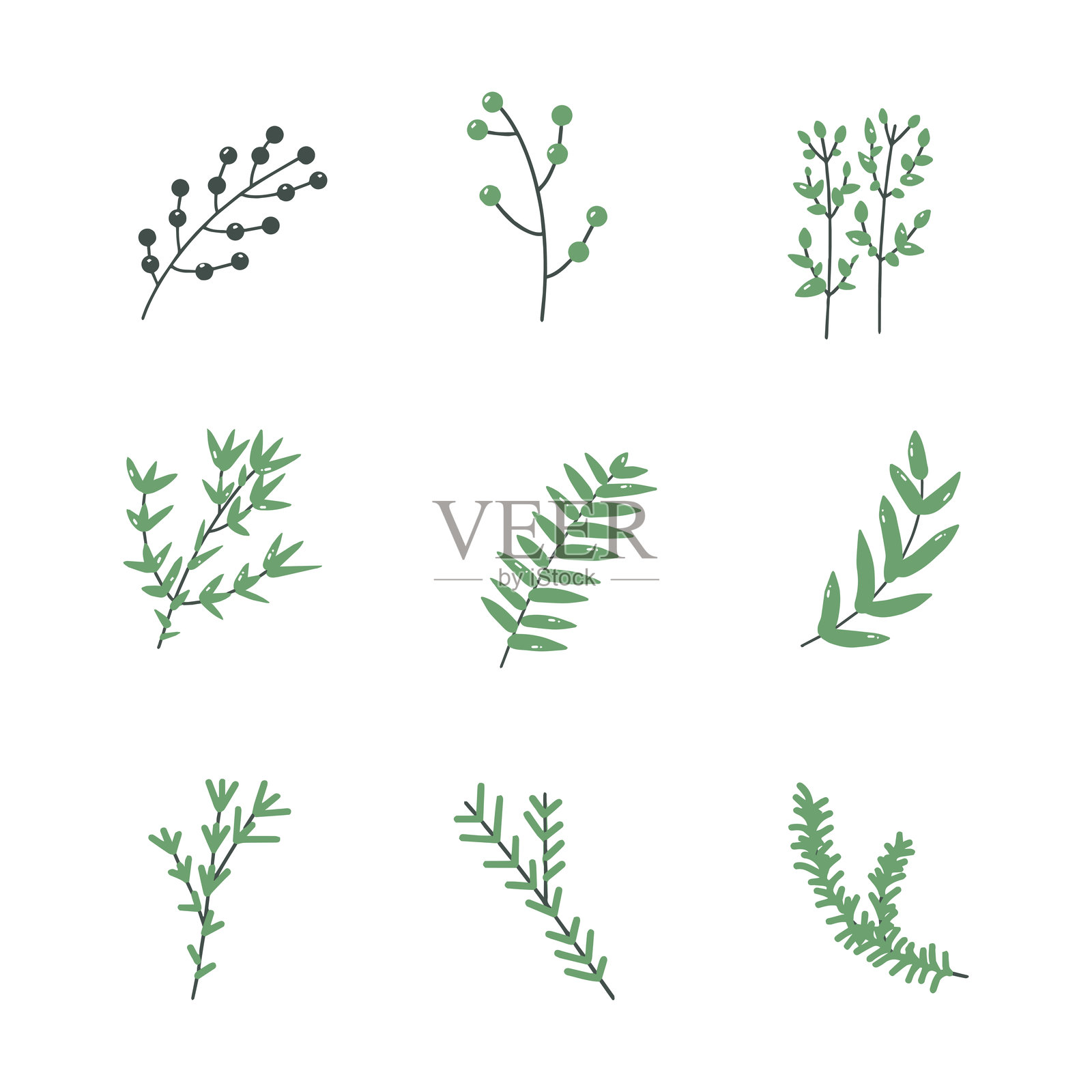 植物小枝手绘风格图标。收集孤立的卡通插图插画图片素材