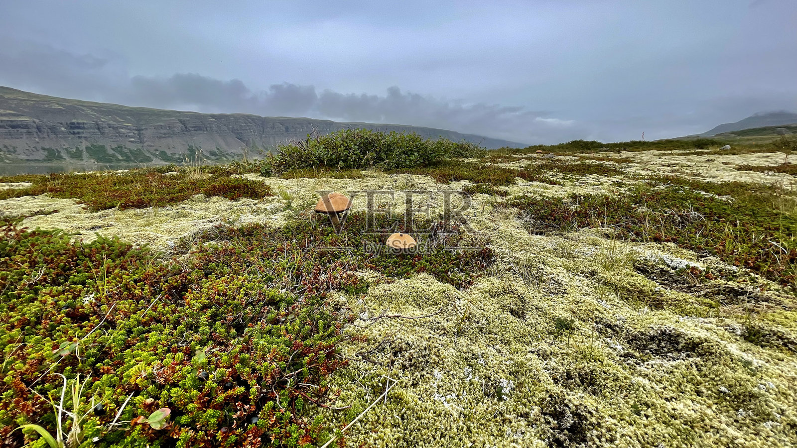 冰岛的旅游照片，典型的风景照片摄影图片