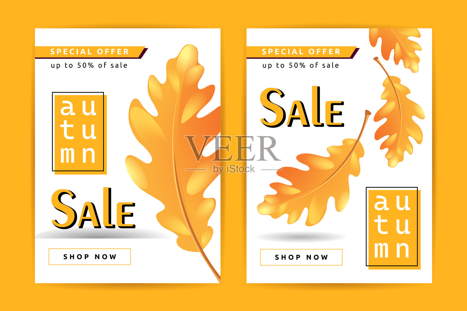 秋季销售横幅设计模板与黄色橡树叶在白色的背景。插画图片素材