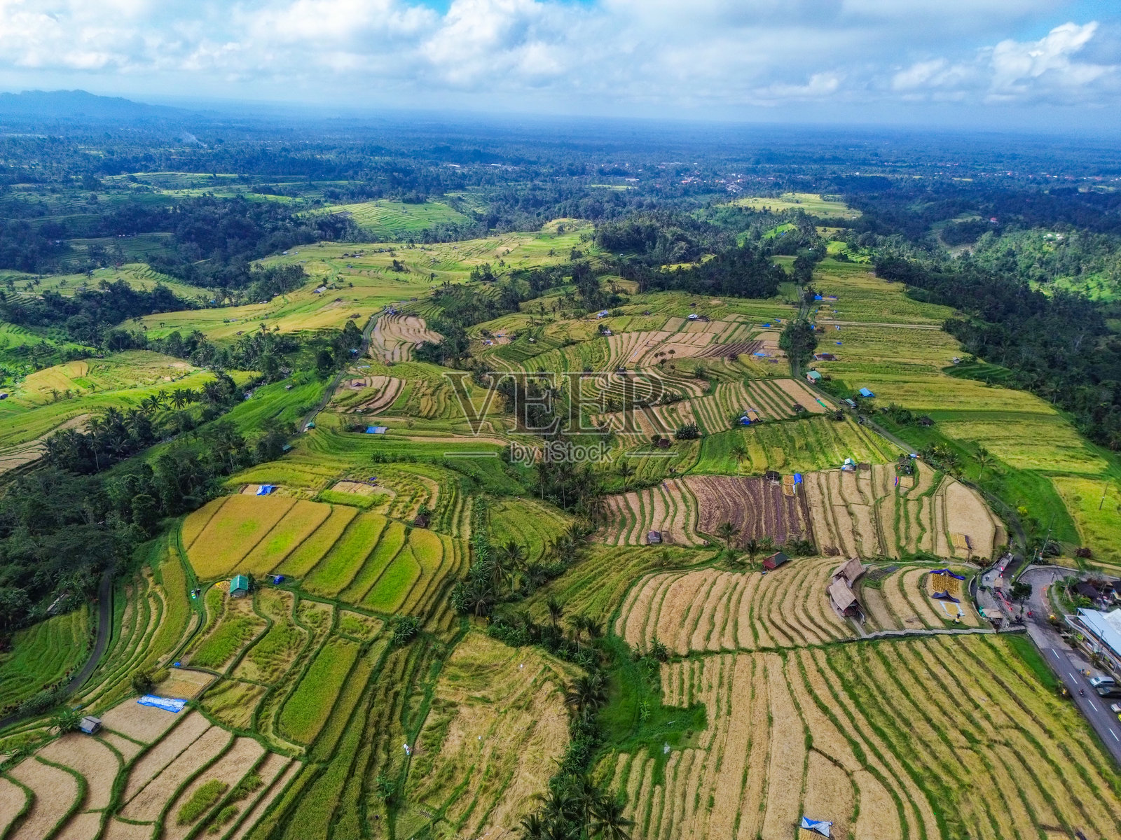 印尼巴厘岛塔巴南的贾提鲁与水稻梯田的空中无人机视图照片摄影图片