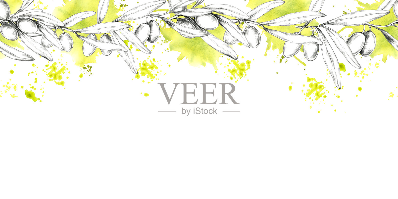 一个水平方向的铅笔画的橄榄枝与黄色水彩柔和的触摸剪贴画。无缝的边界插画图片素材