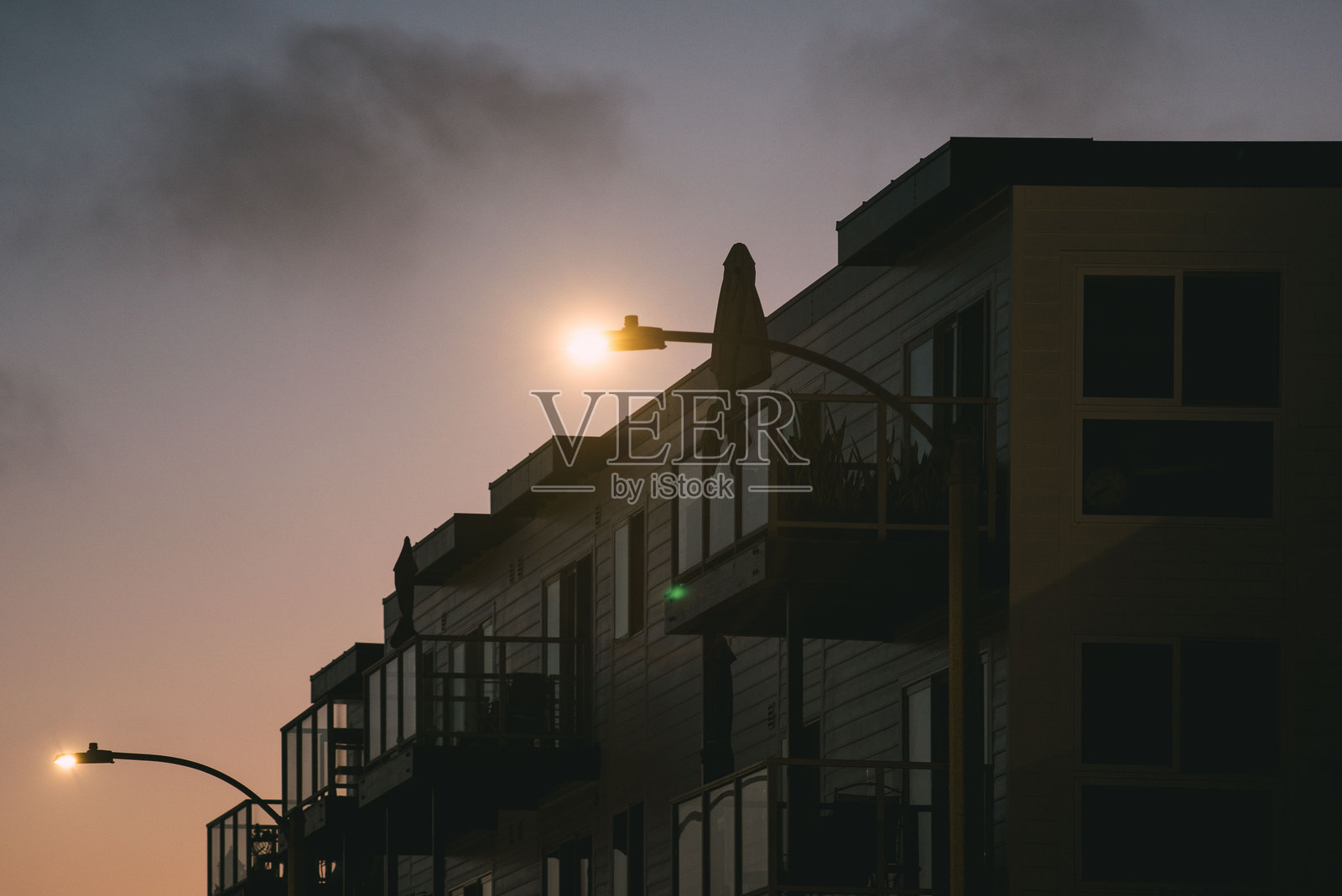 玛丽娜·德尔雷照片摄影图片