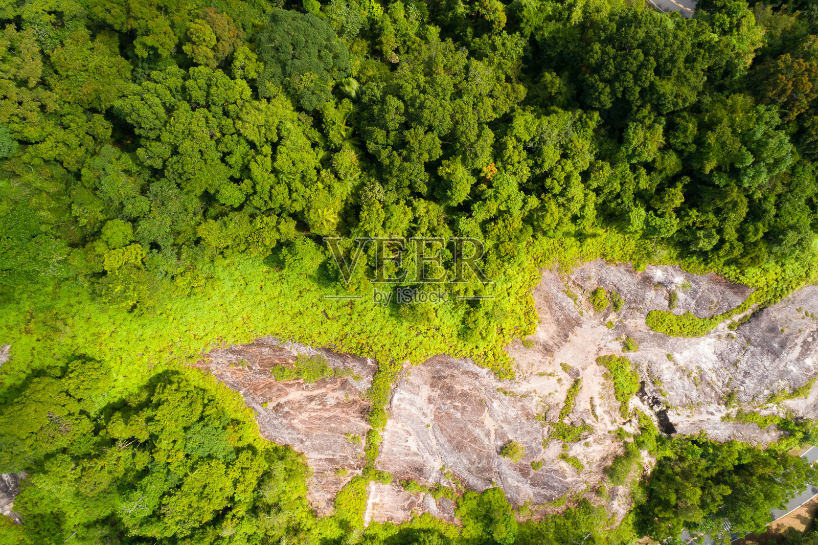 鸟瞰热带雨林树木山脉，俯视图绿色森林背景照片摄影图片