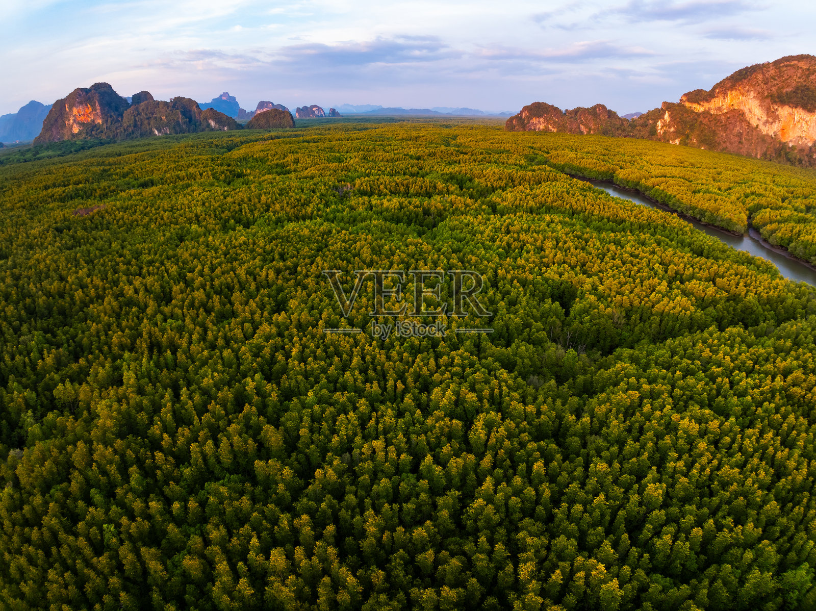 令人惊叹的丰富的红树林，鸟瞰森林树木雨林生态系统和健康的环境背景，绿色树木的纹理森林自上而下，高角度视图照片摄影图片