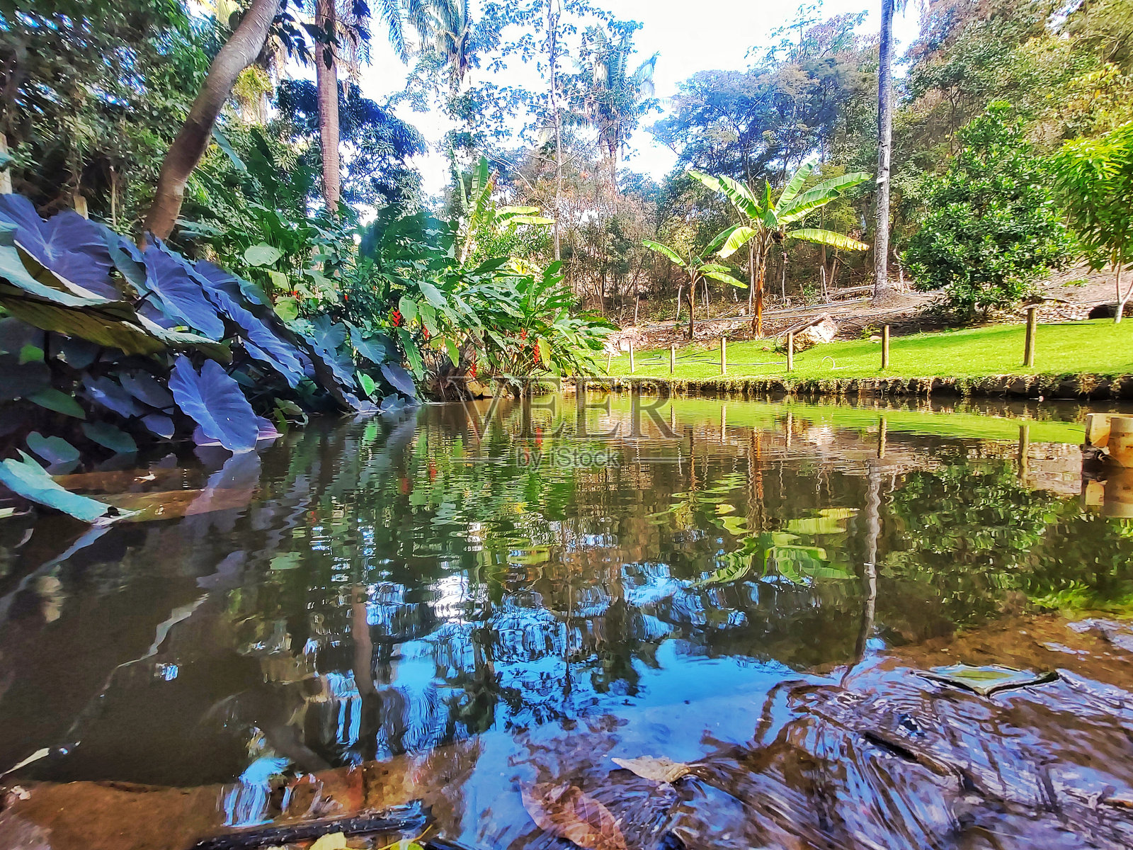 自然，一个独特的美丽的目的地在Araripe高原，城市巴尔巴尔哈照片摄影图片