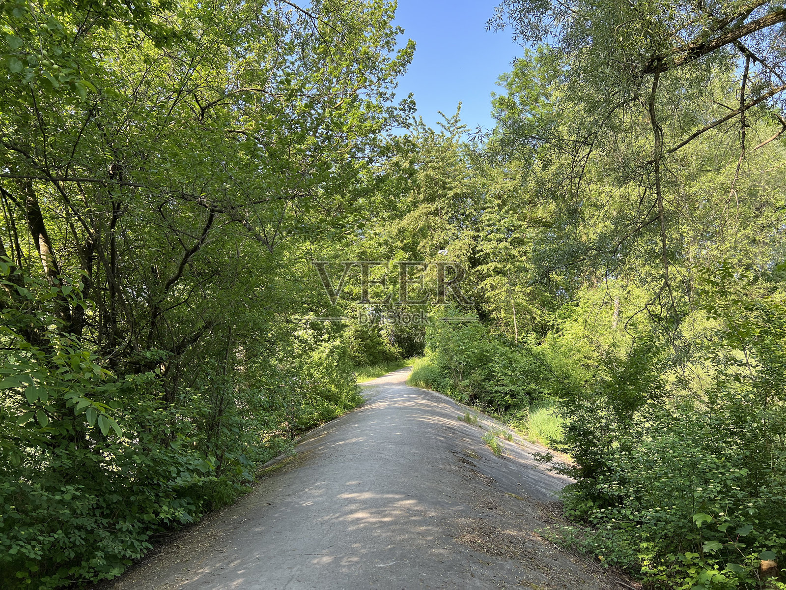 卢斯滕瑙(奥地利)自然公园老莱茵河上的排水管-奥地利照片摄影图片