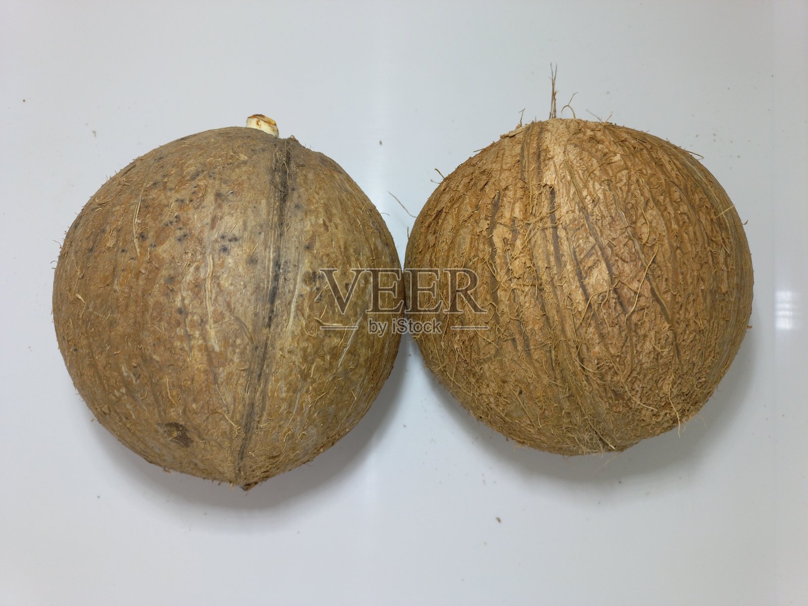 两个新鲜成熟的椰子孤立在白色背景上照片摄影图片