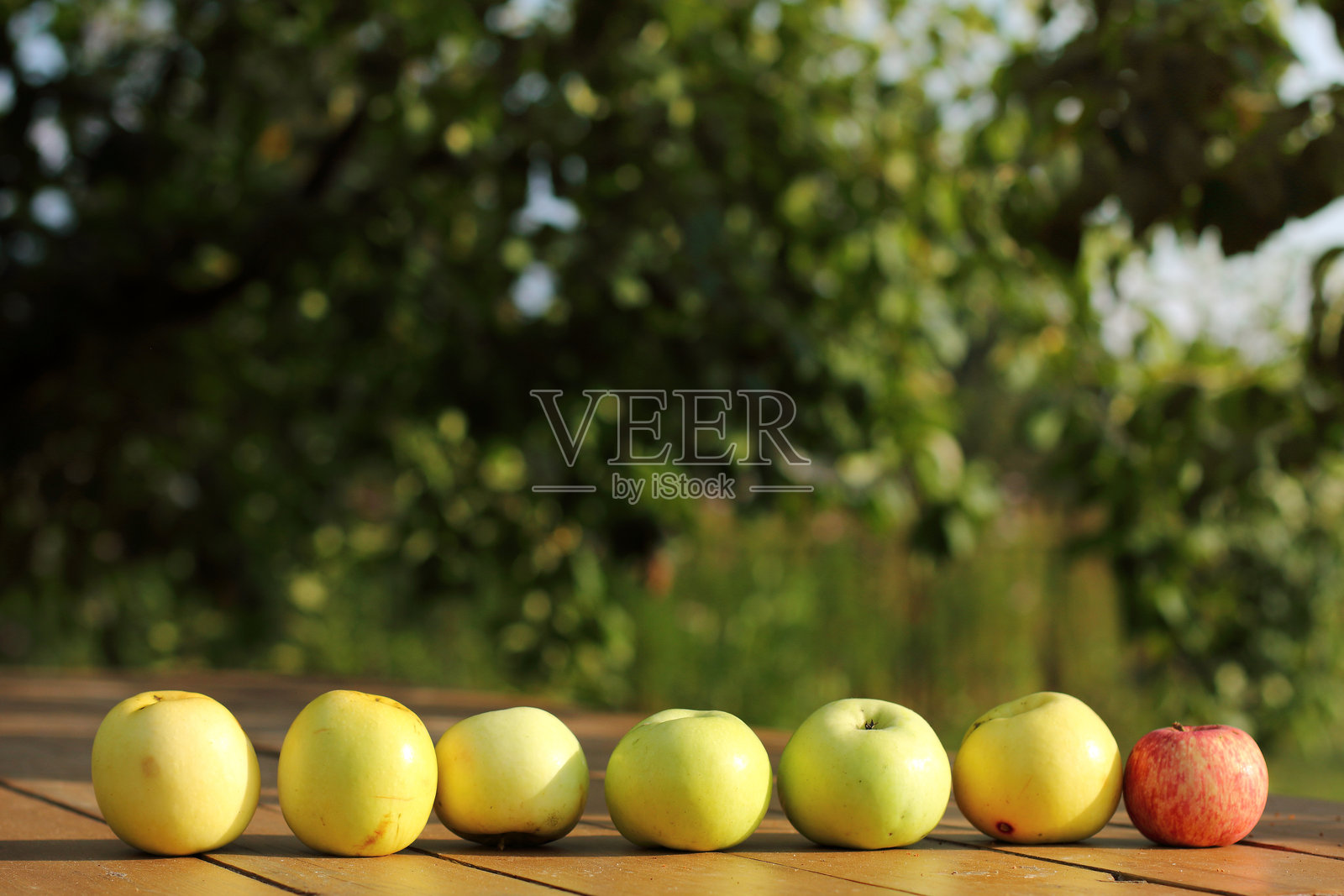 更优惠的报价照片摄影图片