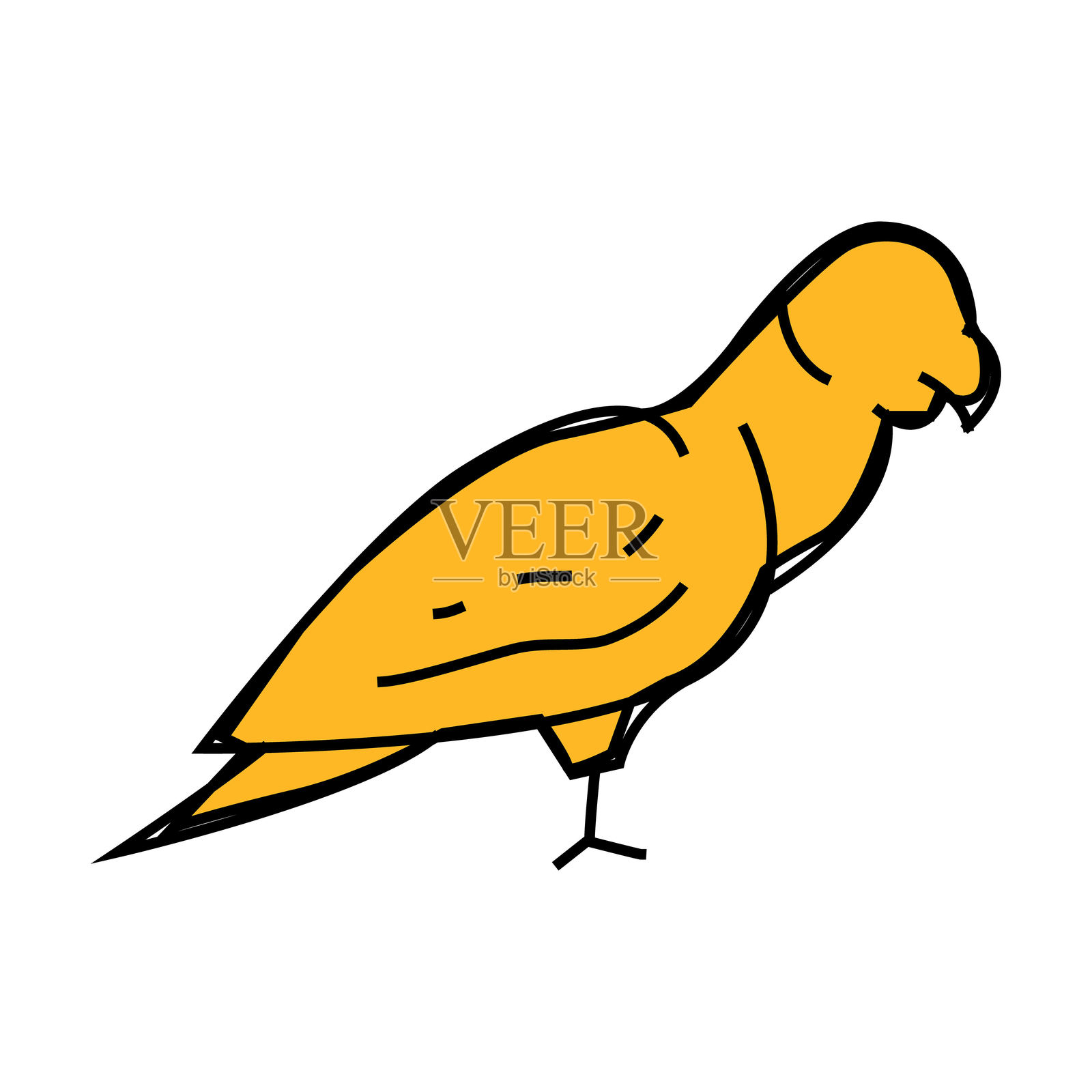 鹦鹉鸟图标彩色插图插画图片素材